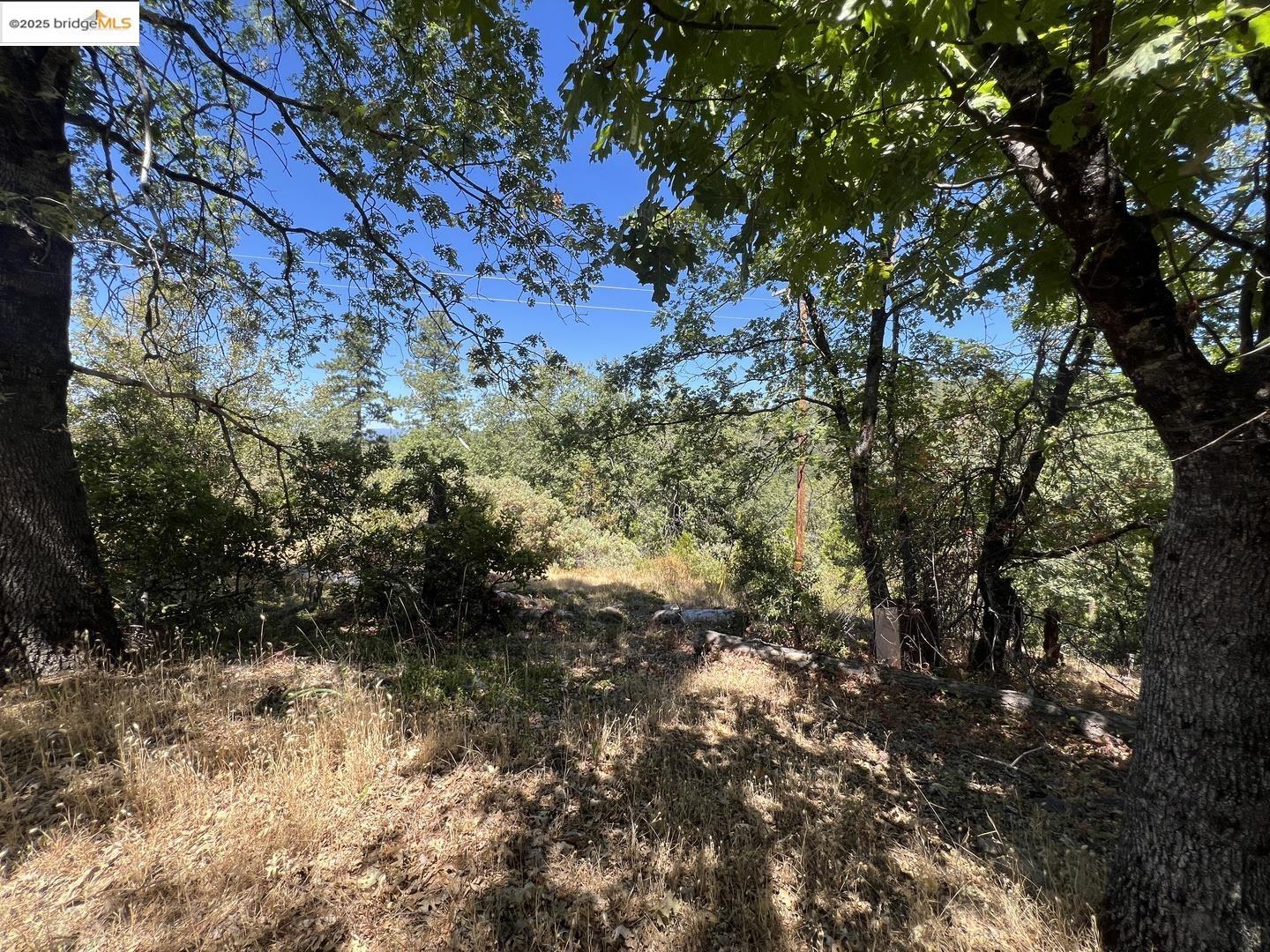 Detail Gallery Image 15 of 28 For 13083 Dondero Rd, Sonora,  CA 95370 - – Beds | – Baths