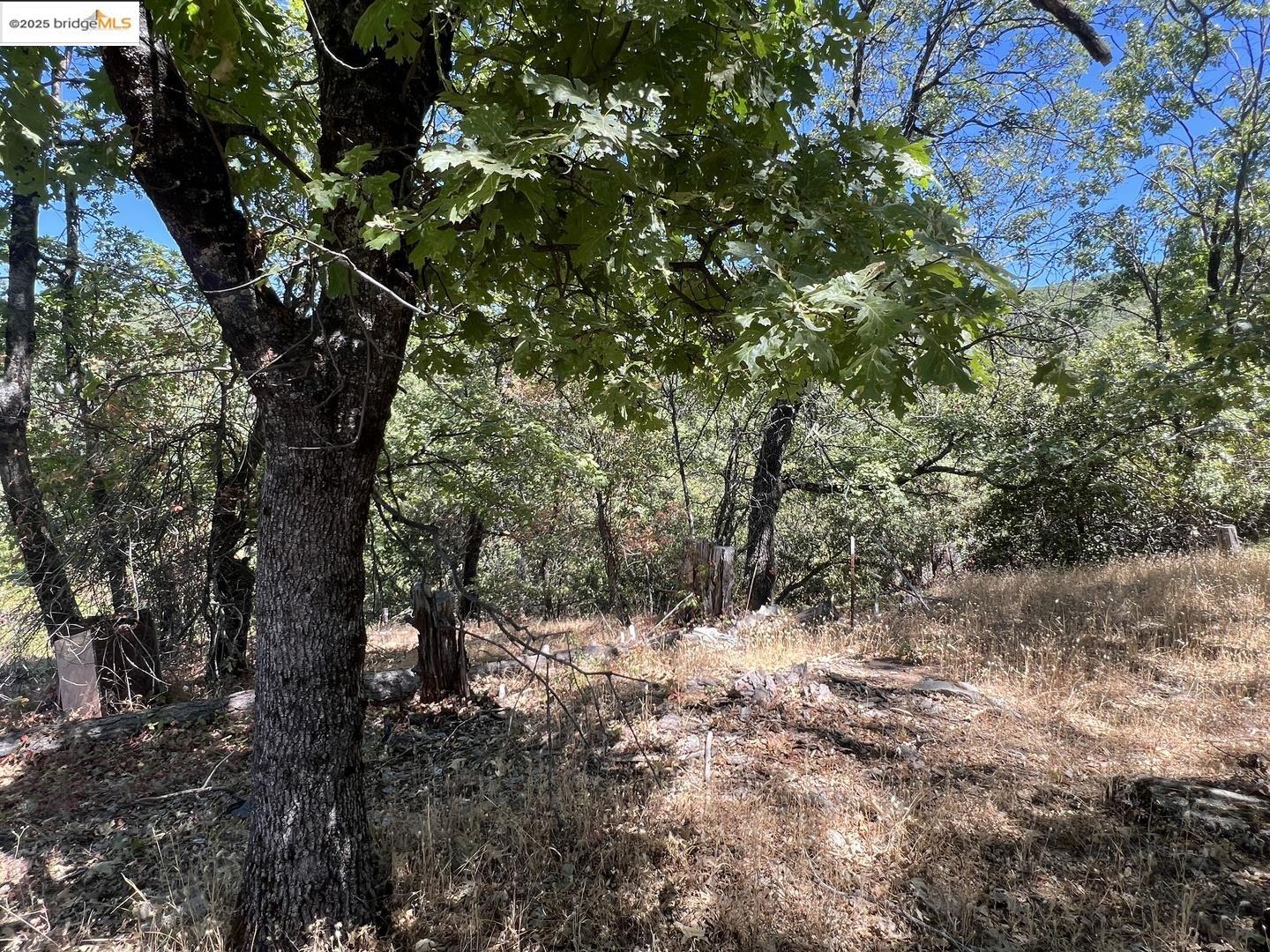 Detail Gallery Image 16 of 28 For 13083 Dondero Rd, Sonora,  CA 95370 - – Beds | – Baths