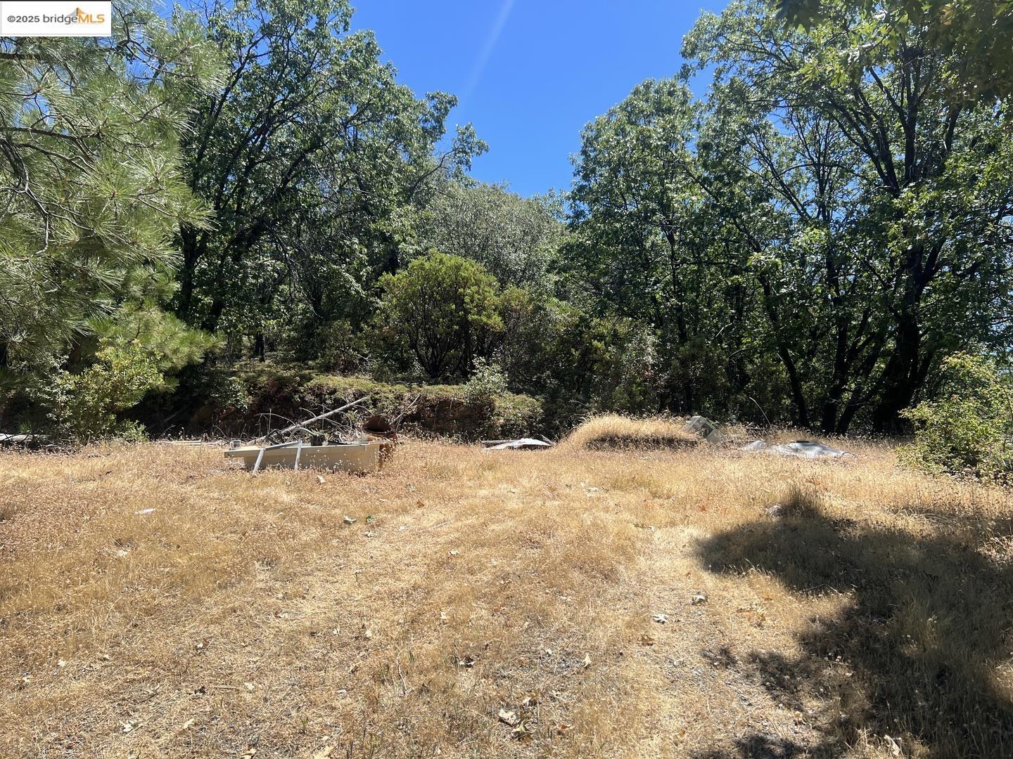 Detail Gallery Image 3 of 28 For 13083 Dondero Rd, Sonora,  CA 95370 - – Beds | – Baths
