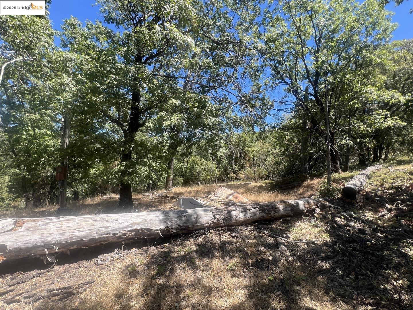 Detail Gallery Image 7 of 28 For 13083 Dondero Rd, Sonora,  CA 95370 - – Beds | – Baths