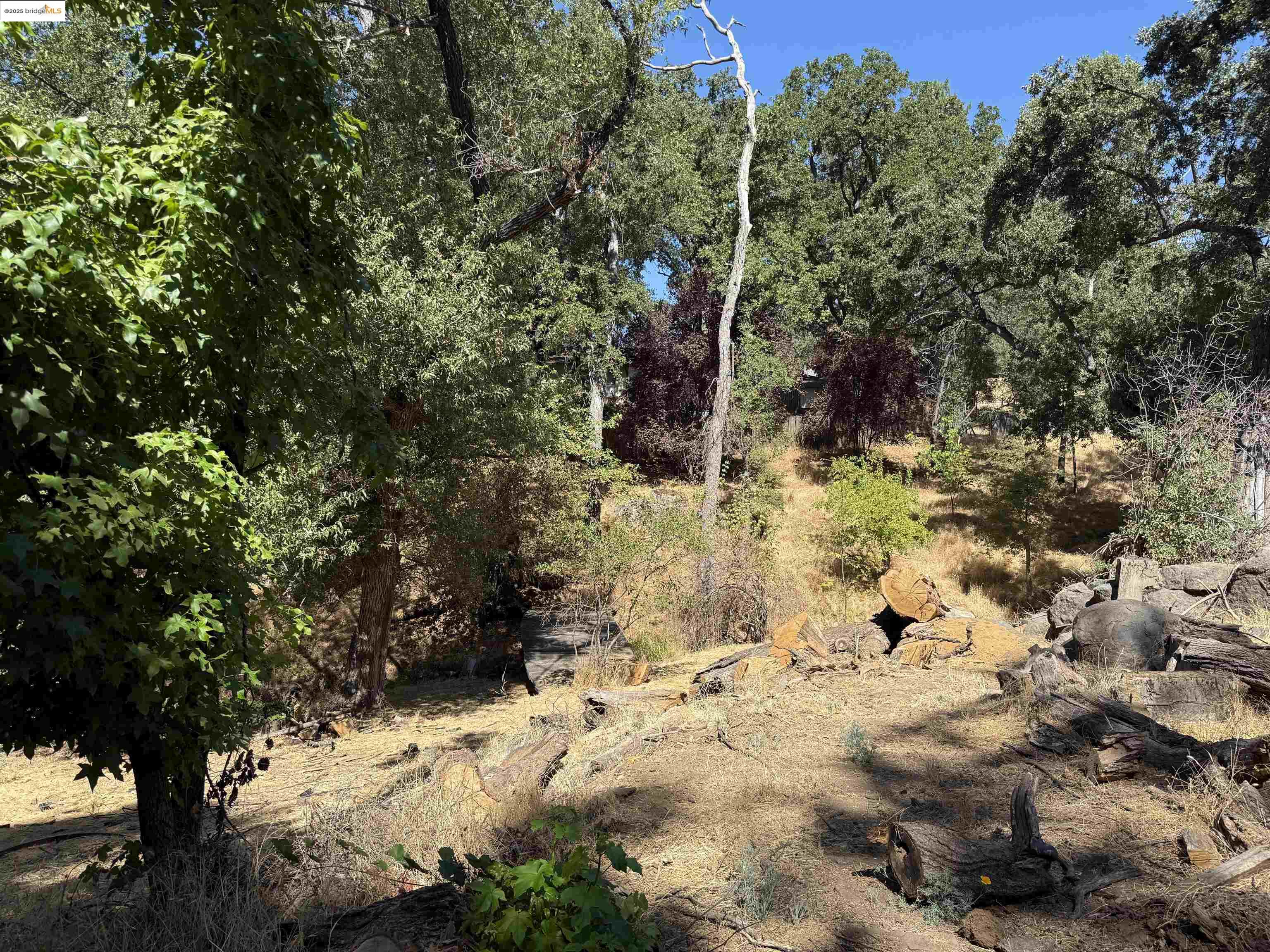 Detail Gallery Image 17 of 37 For 19100 Andra Drive, Sonora,  CA 95370 - 1 Beds | 1 Baths