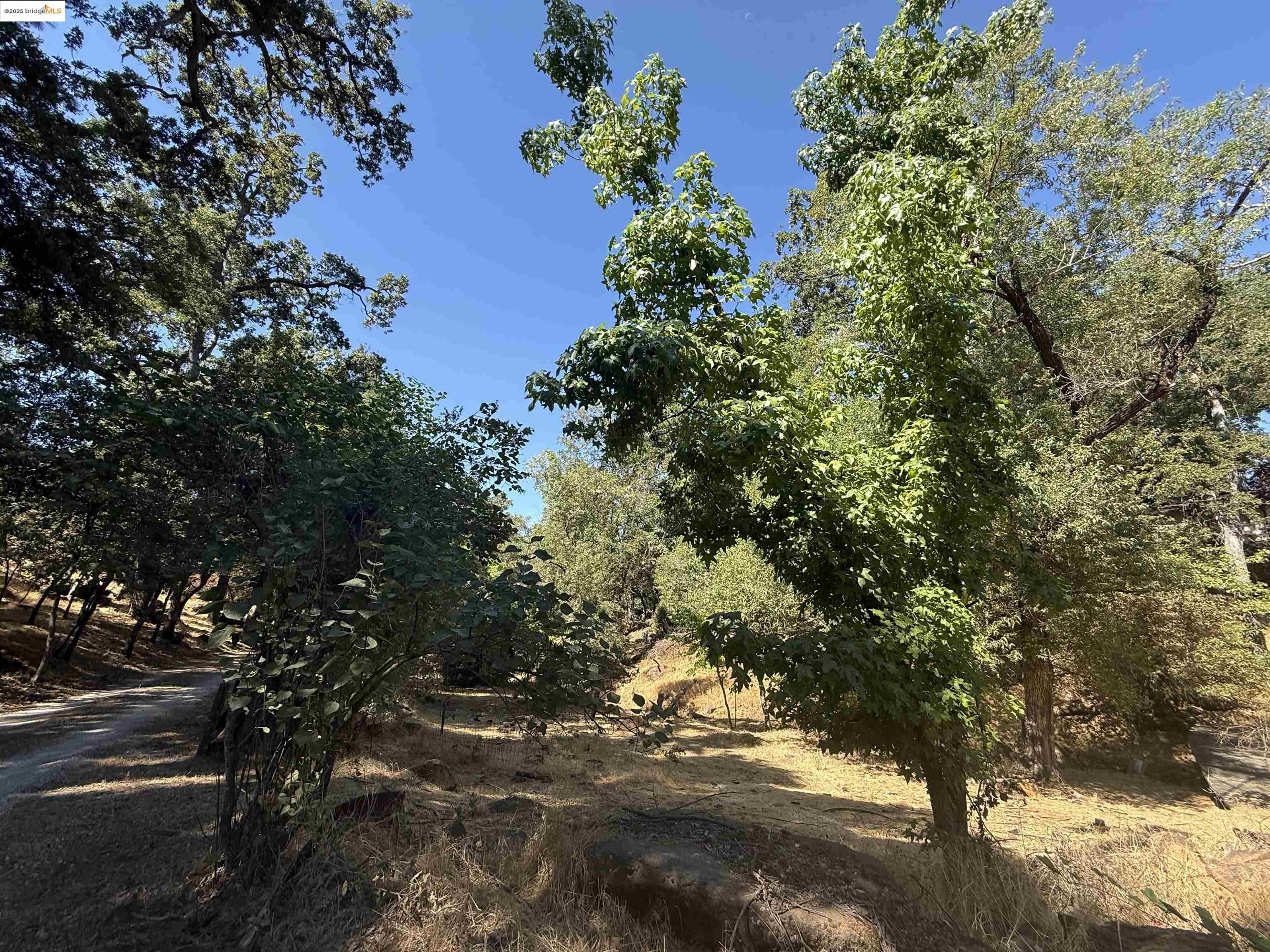 Detail Gallery Image 27 of 60 For 19100 Andra Drive, Sonora,  CA 95370 - 1 Beds | 1 Baths