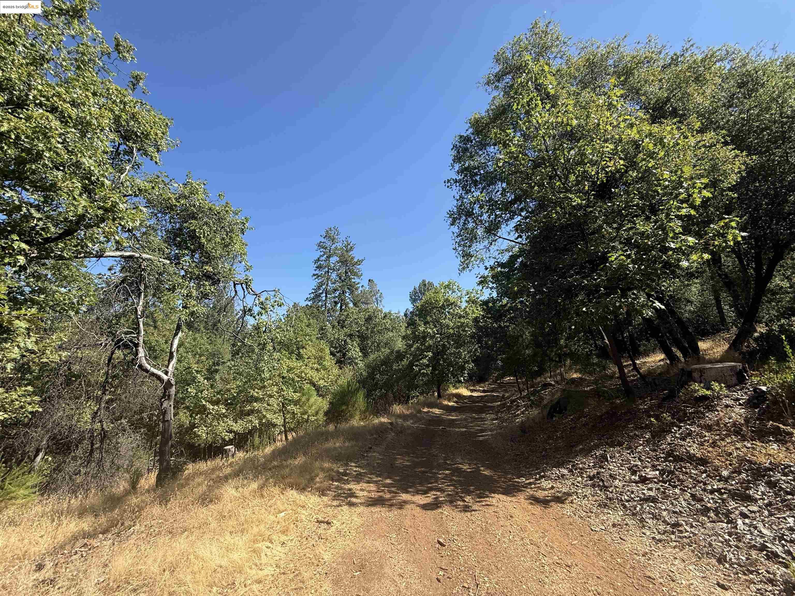 Detail Gallery Image 30 of 37 For 19100 Andra Drive, Sonora,  CA 95370 - 1 Beds | 1 Baths