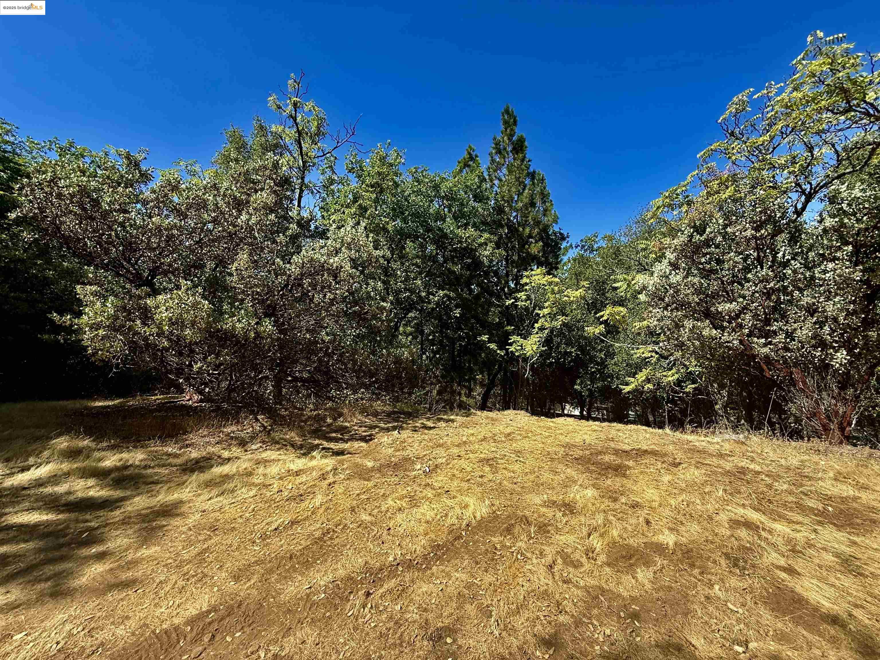 Detail Gallery Image 31 of 37 For 19100 Andra Drive, Sonora,  CA 95370 - 1 Beds | 1 Baths