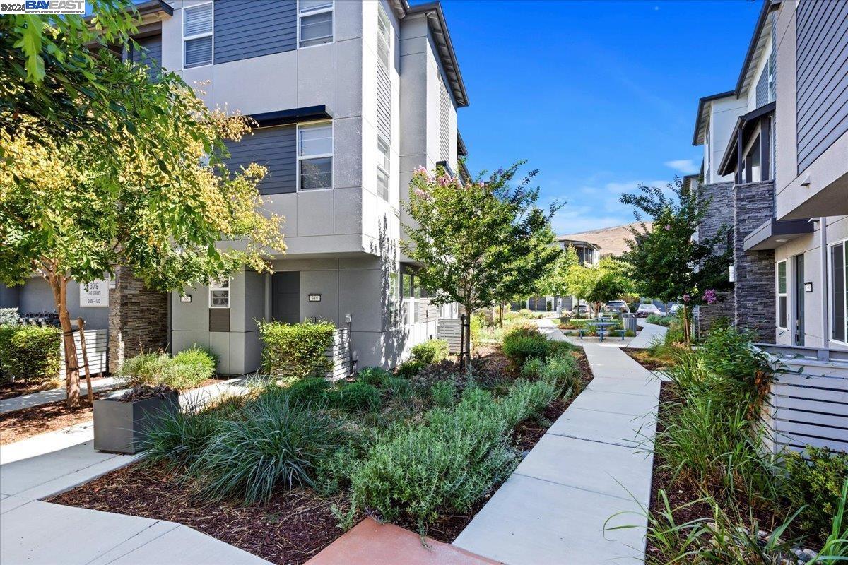 Detail Gallery Image 1 of 22 For 389 Line St., Hayward,  CA 94544 - 1 Beds | 1 Baths