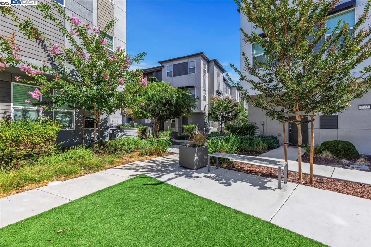 Detail Gallery Image 2 of 22 For 389 Line St., Hayward,  CA 94544 - 1 Beds | 1 Baths