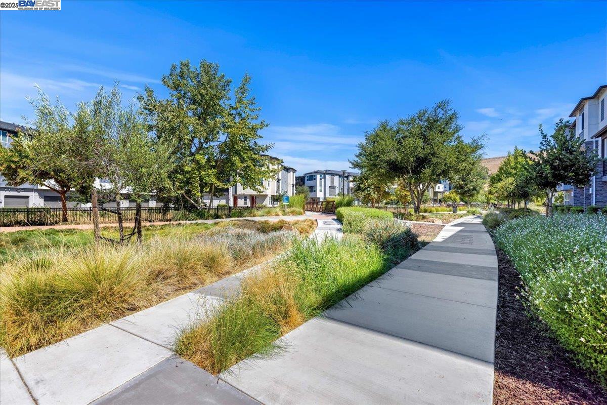 Detail Gallery Image 20 of 22 For 389 Line St., Hayward,  CA 94544 - 1 Beds | 1 Baths