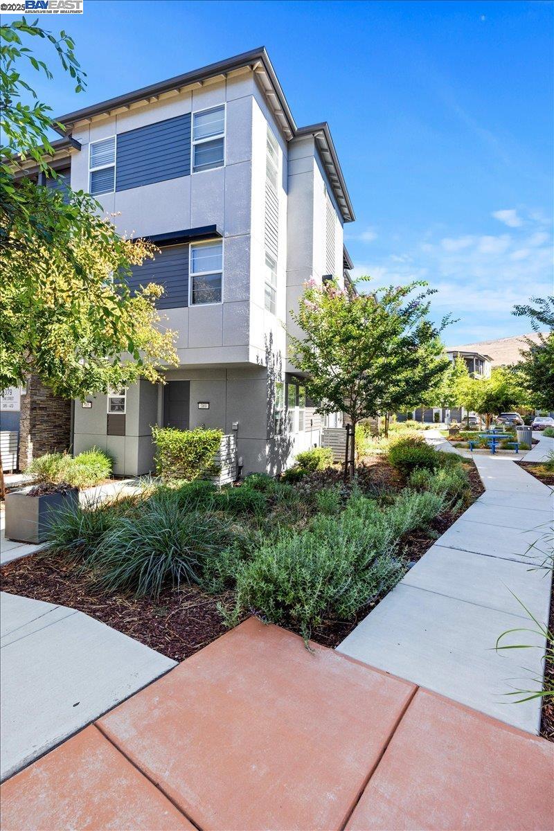 Detail Gallery Image 3 of 22 For 389 Line St., Hayward,  CA 94544 - 1 Beds | 1 Baths