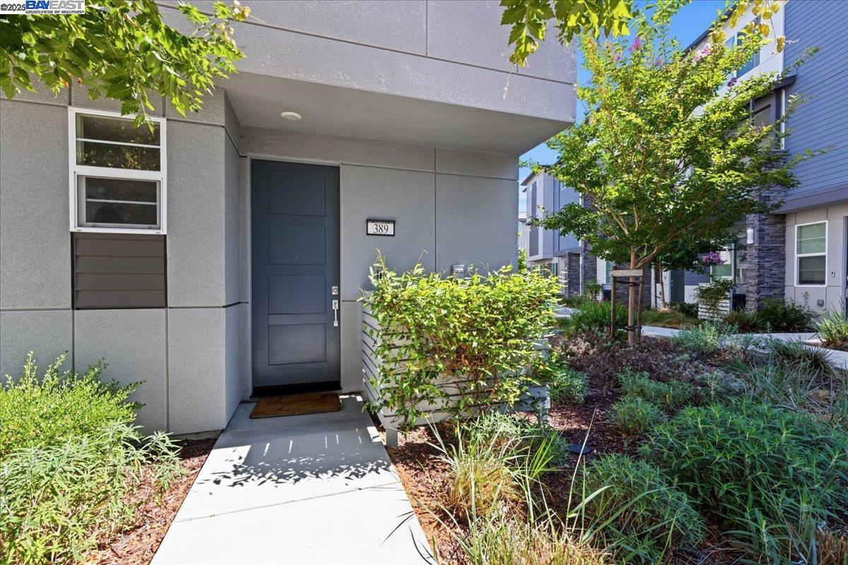 Detail Gallery Image 4 of 22 For 389 Line St., Hayward,  CA 94544 - 1 Beds | 1 Baths