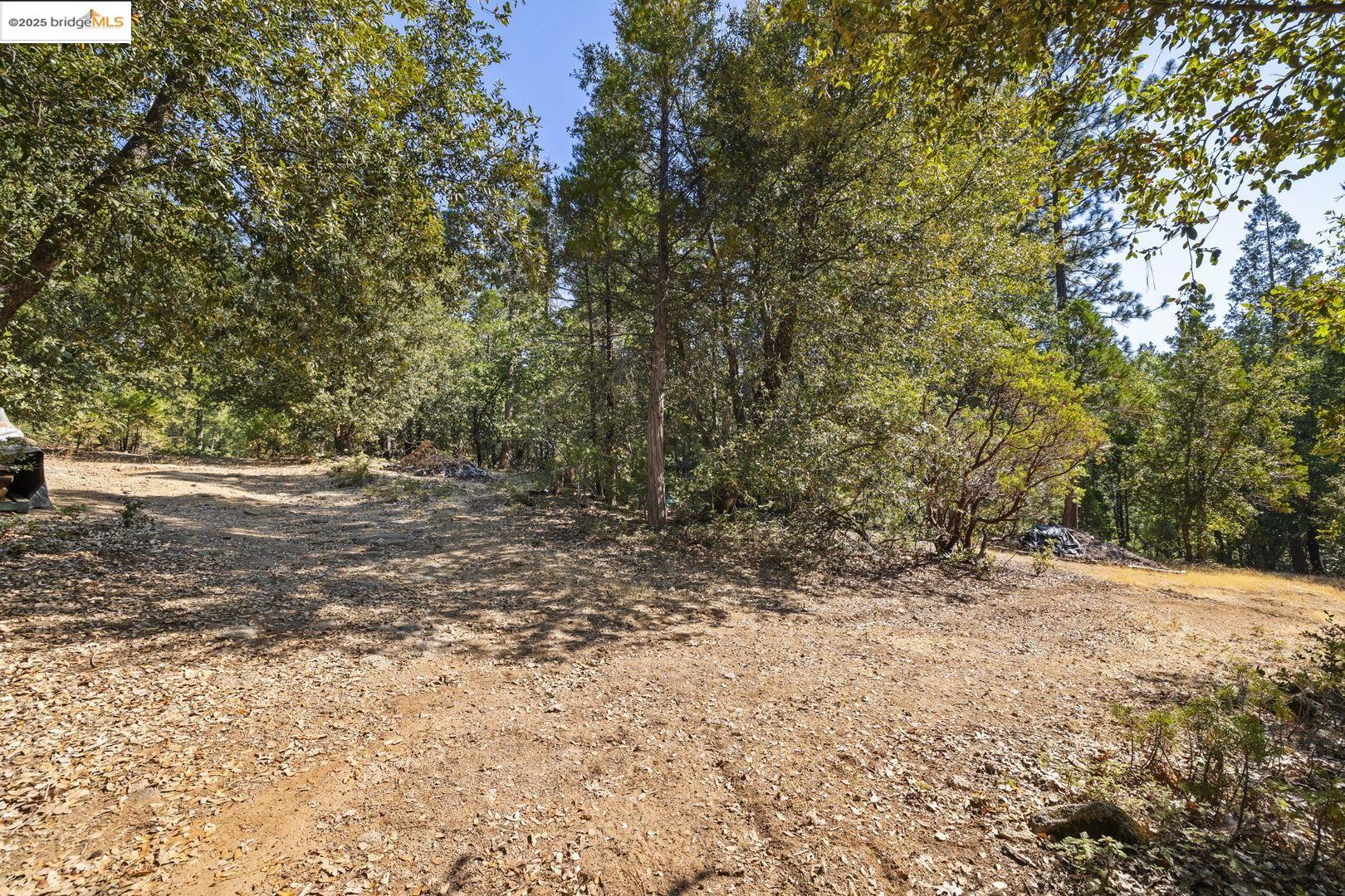 Detail Gallery Image 3 of 21 For Bonanza, Twain Harte,  CA 95383 - – Beds | – Baths
