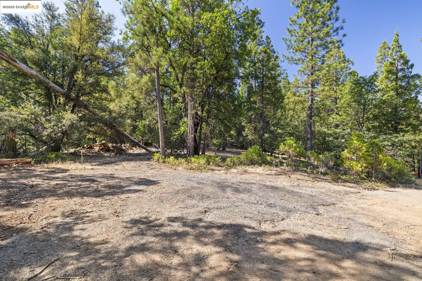 Detail Gallery Image 4 of 21 For Bonanza, Twain Harte,  CA 95383 - – Beds | – Baths