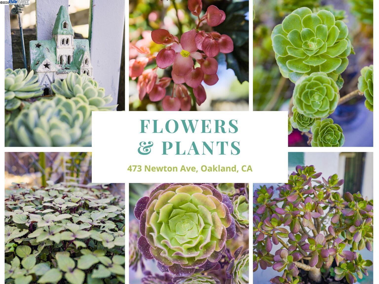 Detail Gallery Image 50 of 60 For 473 Newton Ave, Oakland,  CA 94606 - 4 Beds | 2 Baths