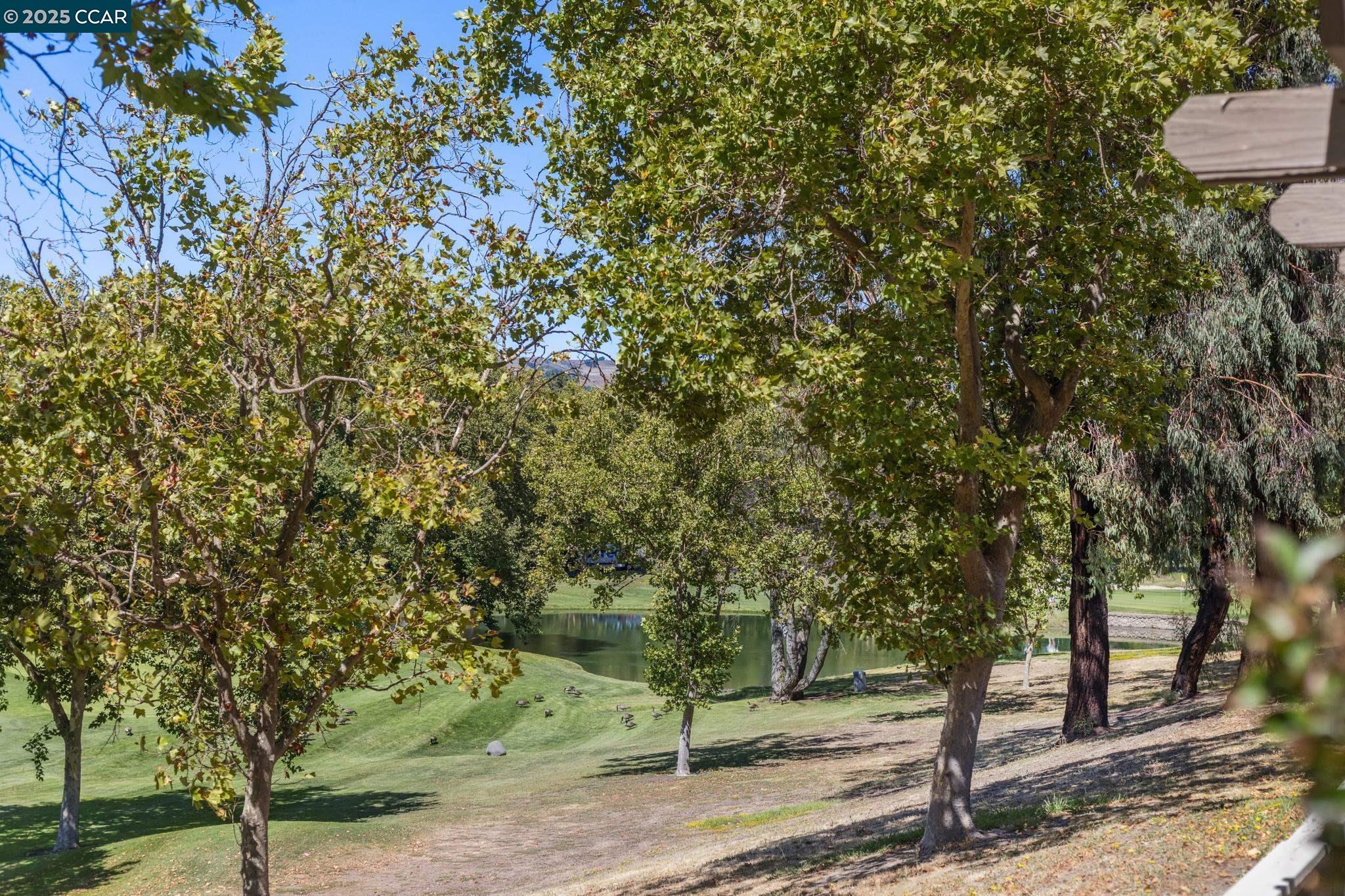 Photo #50: 41108746 Listing: Photo #50