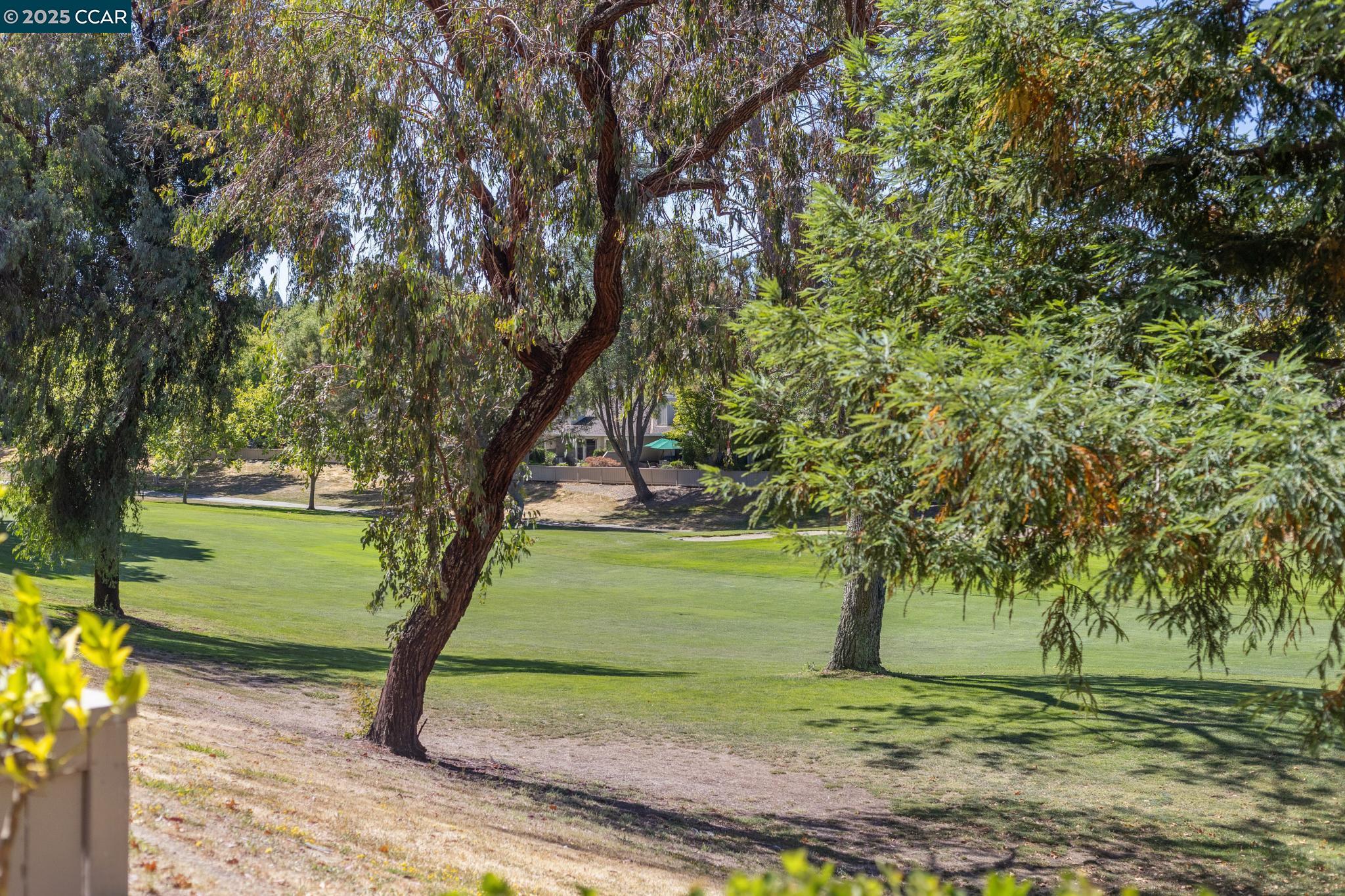 Photo #51: 41108746 Listing: Photo #51