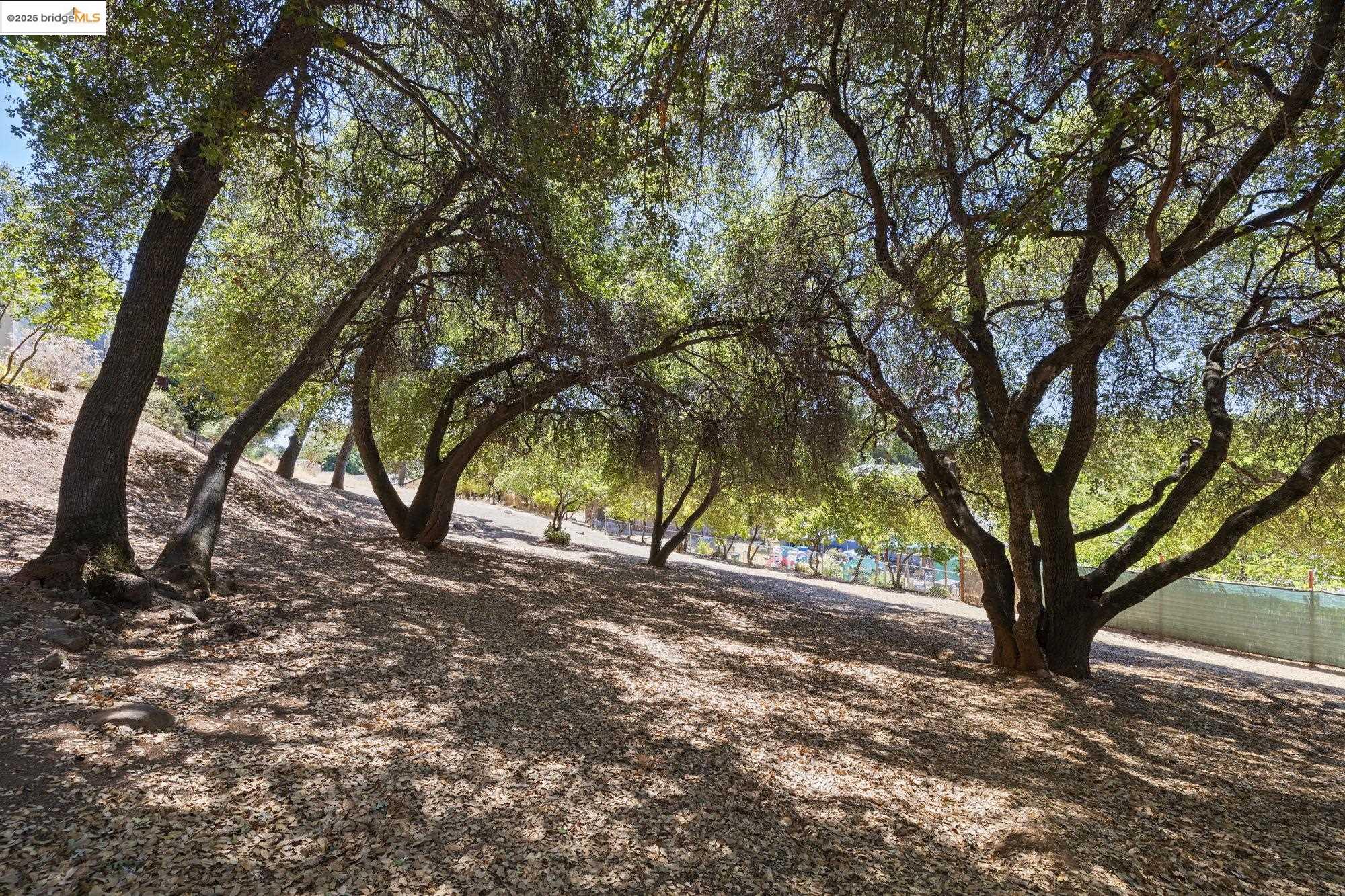 Detail Gallery Image 6 of 28 For 19326 Susan Way, Sonora,  CA 95370-9209 - 3 Beds | 2 Baths