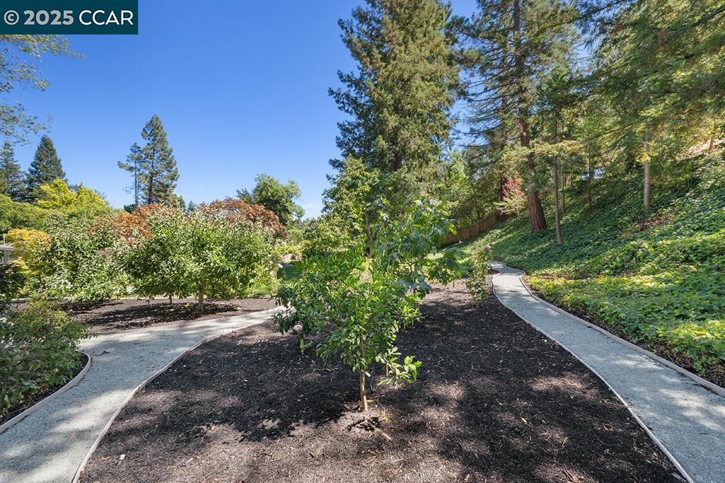 Detail Gallery Image 33 of 37 For 4 Harold Dr, Moraga,  CA 94556 - 4 Beds | 3 Baths