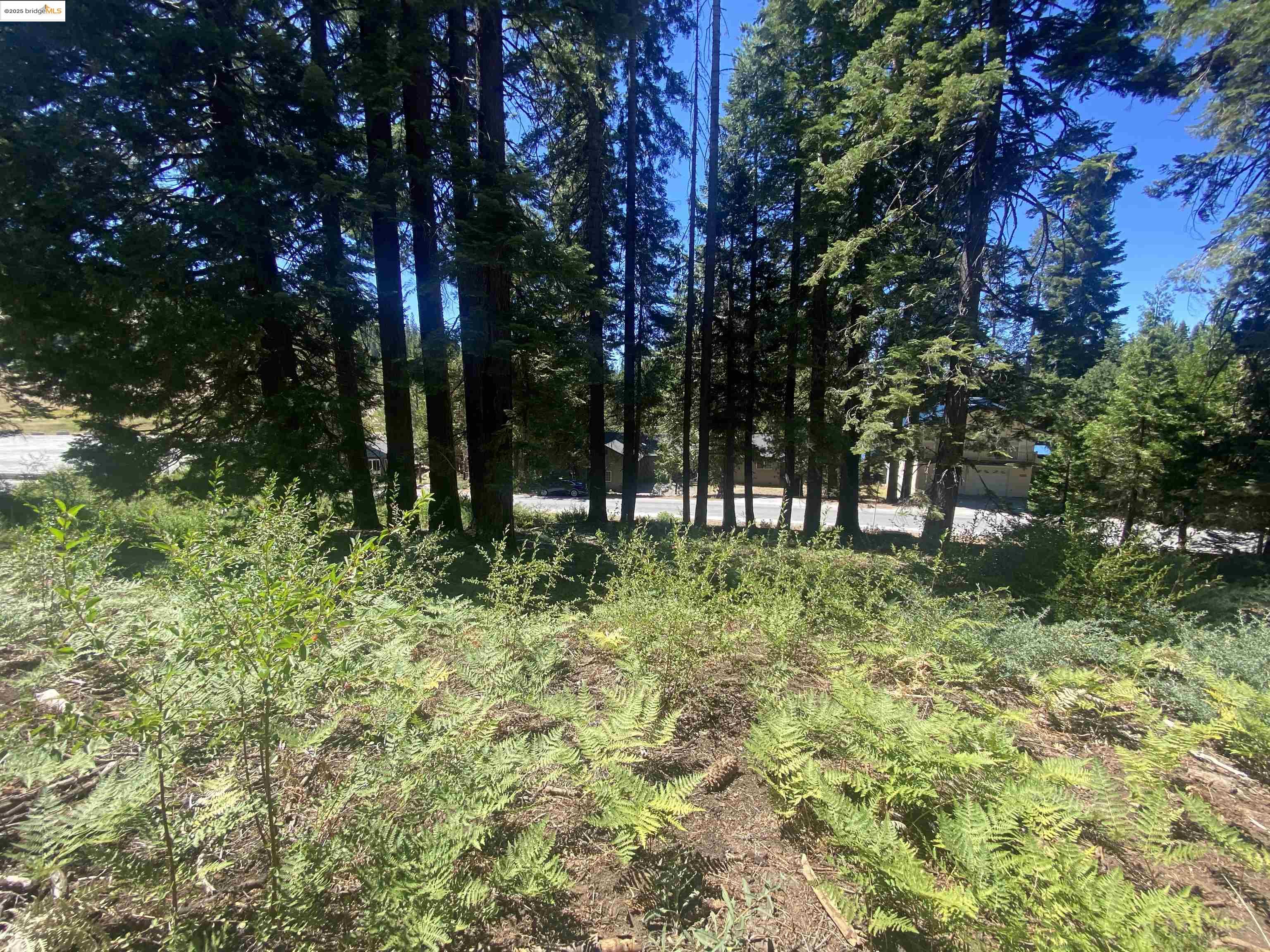 Detail Gallery Image 1 of 16 For 33994 Leland Meadow Rd, Pinecrest,  CA 95364 - – Beds | – Baths