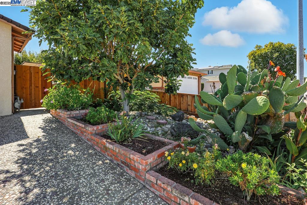 Detail Gallery Image 4 of 60 For 2702 Chinook Ct, Union City,  CA 94587 - 4 Beds | 2 Baths
