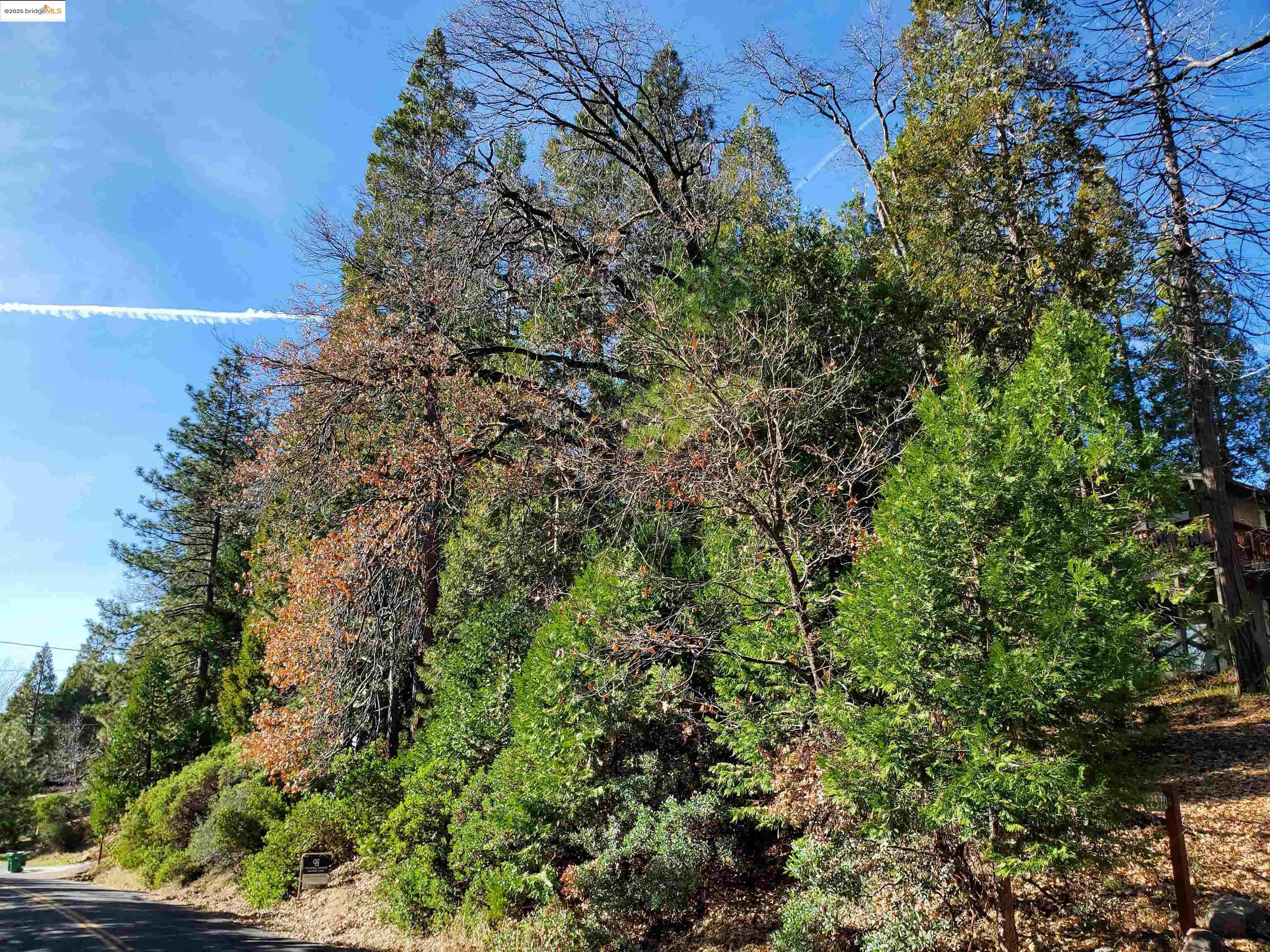 Detail Gallery Image 1 of 3 For 22558 Confidence Road, Twain Harte,  CA 95383 - – Beds | – Baths