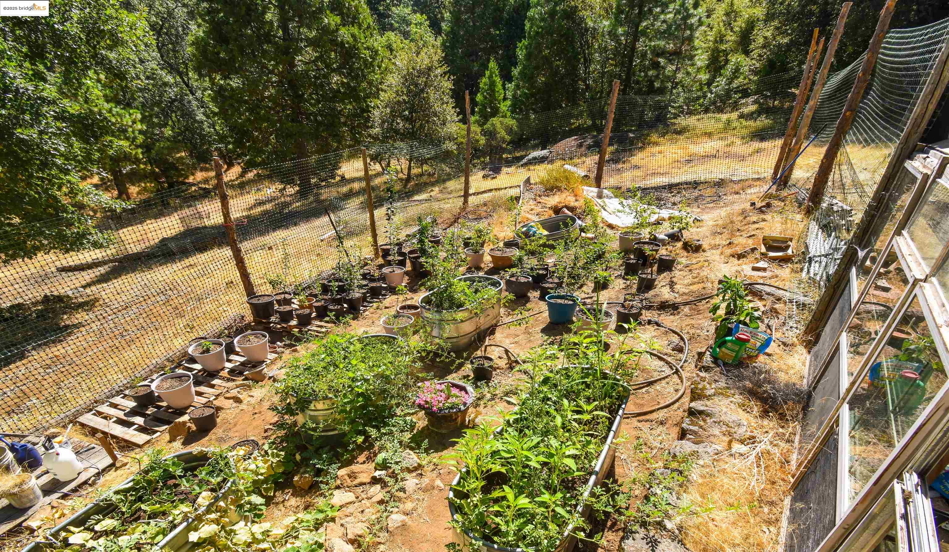 Detail Gallery Image 50 of 54 For 21754 Ferrari Rd, Sonora,  CA 95370 - 3 Beds | 2 Baths