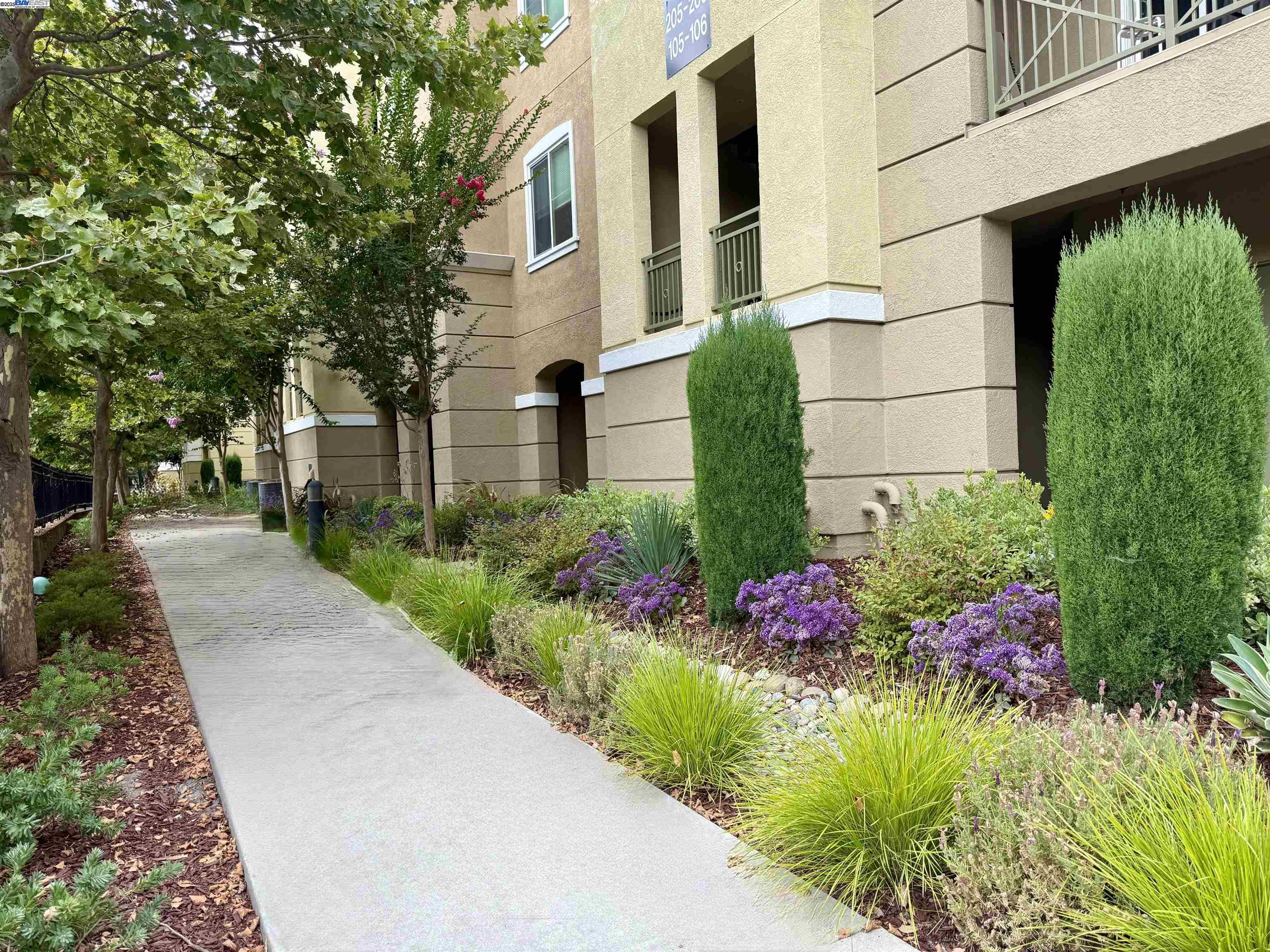 Detail Gallery Image 2 of 16 For 4704 Norris Canyon Rd #206,  San Ramon,  CA 94583 - 3 Beds | 2 Baths