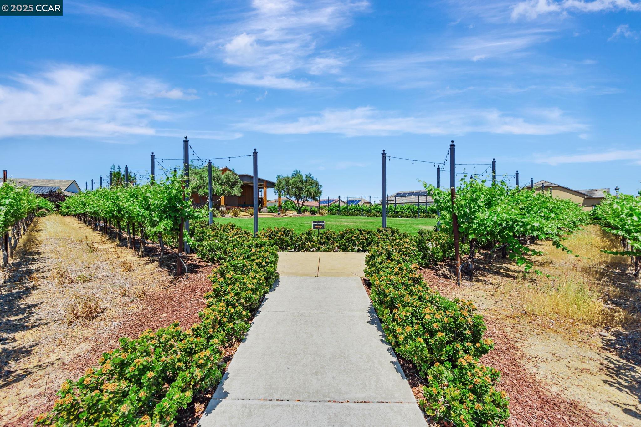 Detail Gallery Image 50 of 50 For 1631 Chianti Ln, Brentwood,  CA 94513 - 2 Beds | 2 Baths