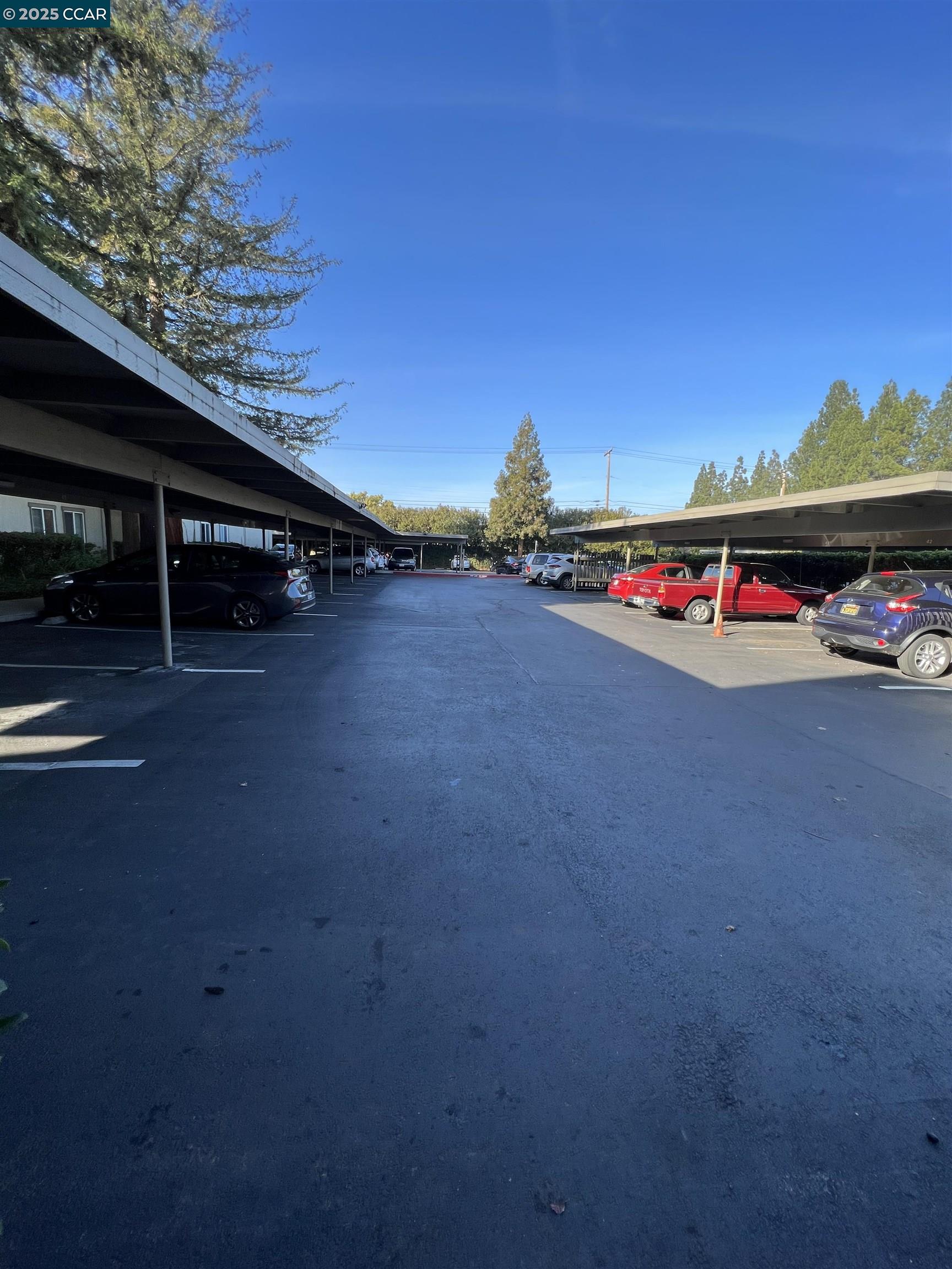 Detail Gallery Image 19 of 44 For 2562 Walnut Blvd #66,  Walnut Creek,  CA 94596 - 1 Beds | 1 Baths