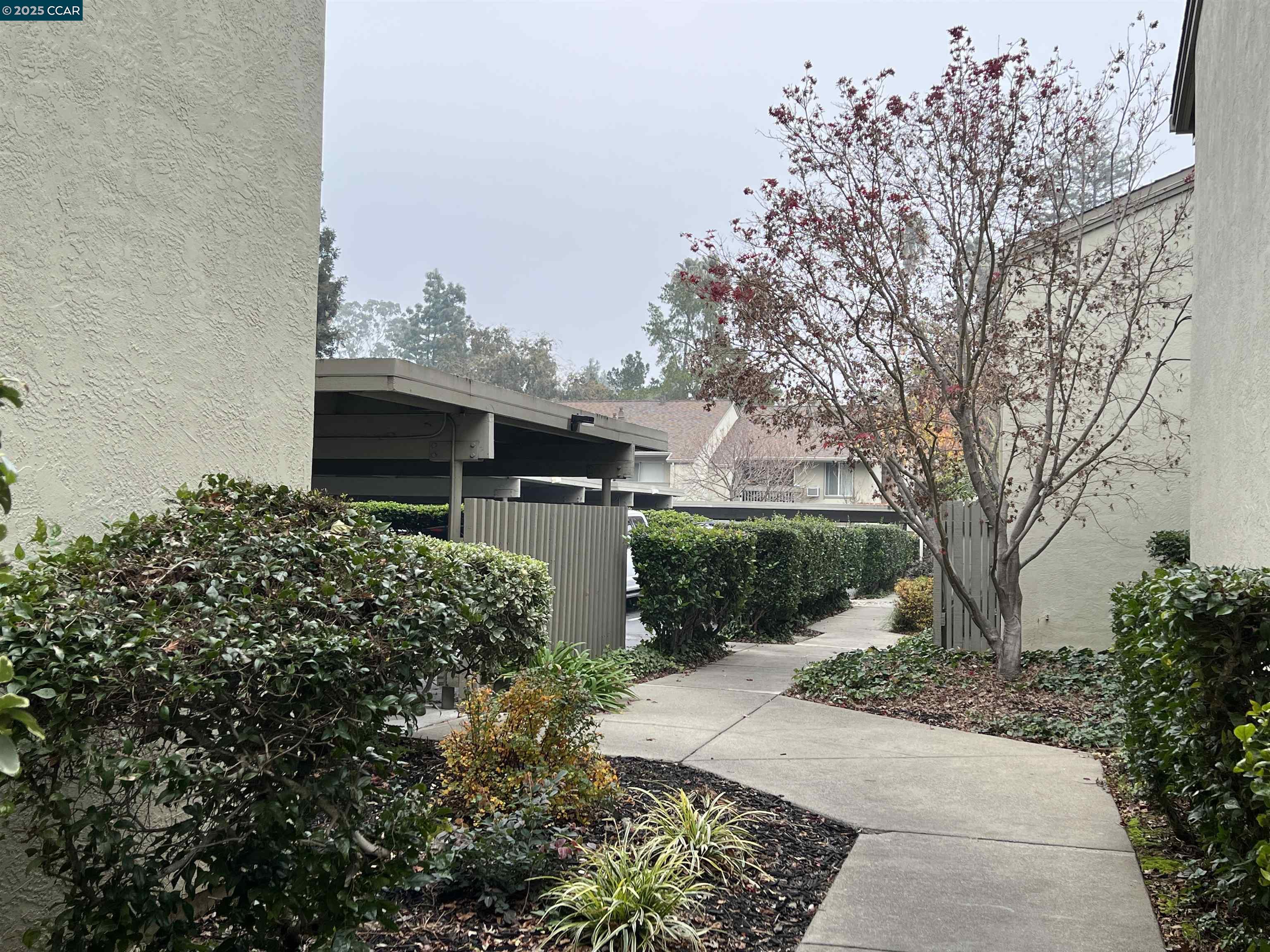 Detail Gallery Image 25 of 44 For 2562 Walnut Blvd #66,  Walnut Creek,  CA 94596 - 1 Beds | 1 Baths