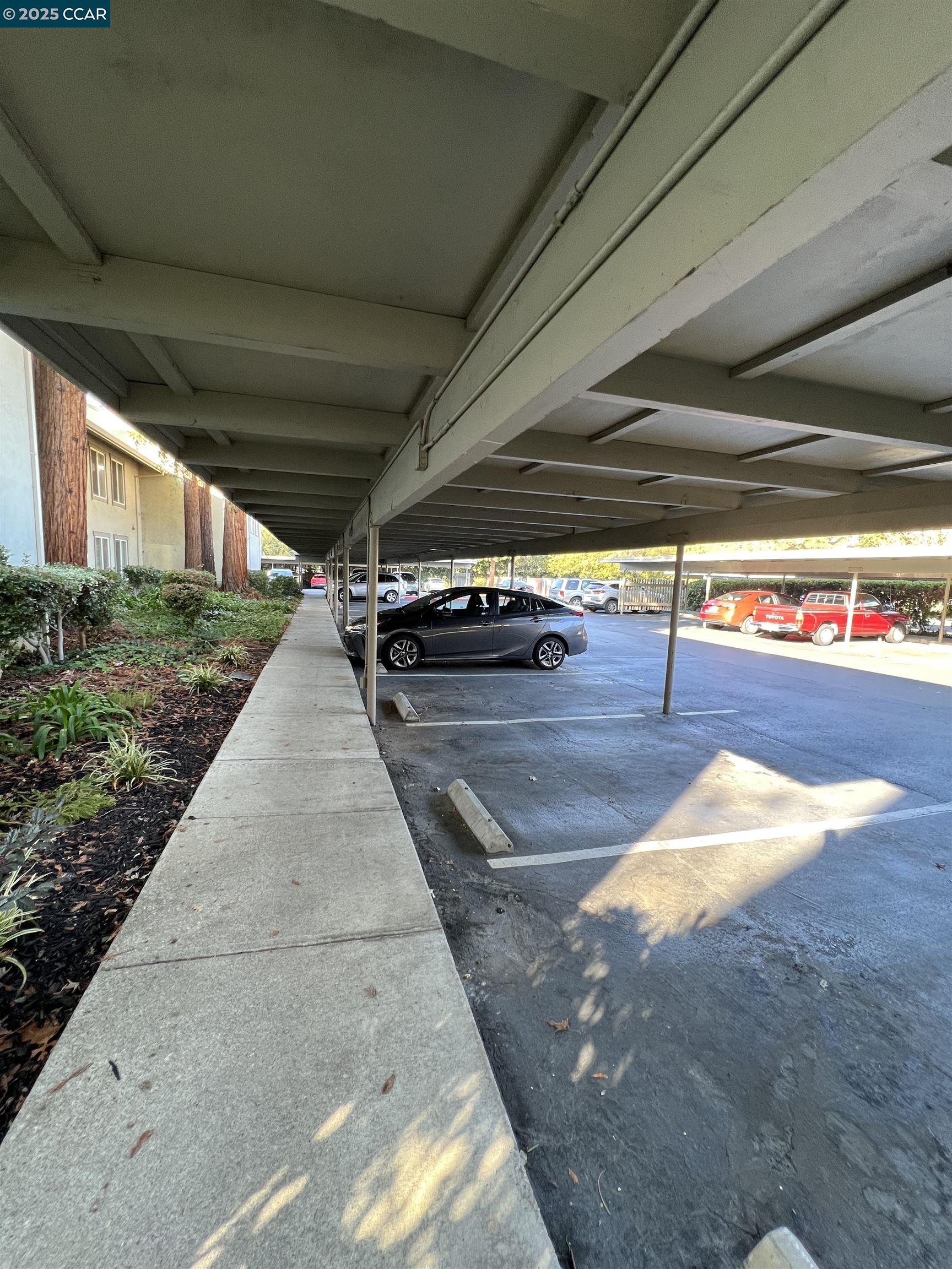 Detail Gallery Image 6 of 44 For 2562 Walnut Blvd #66,  Walnut Creek,  CA 94596 - 1 Beds | 1 Baths