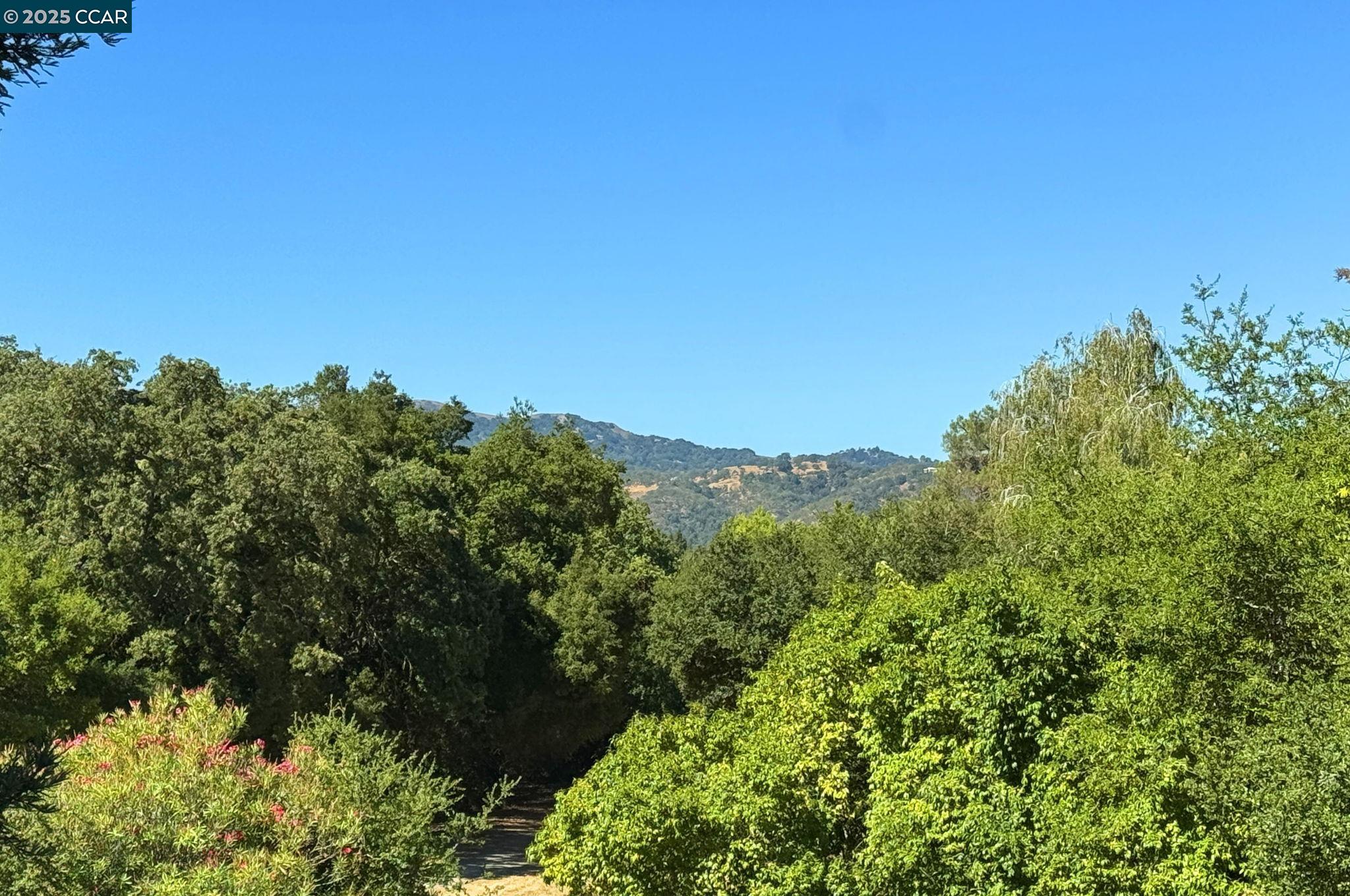 Detail Gallery Image 32 of 56 For 47 Kentfield Ct, Alamo,  CA 94507 - 4 Beds | 2/1 Baths