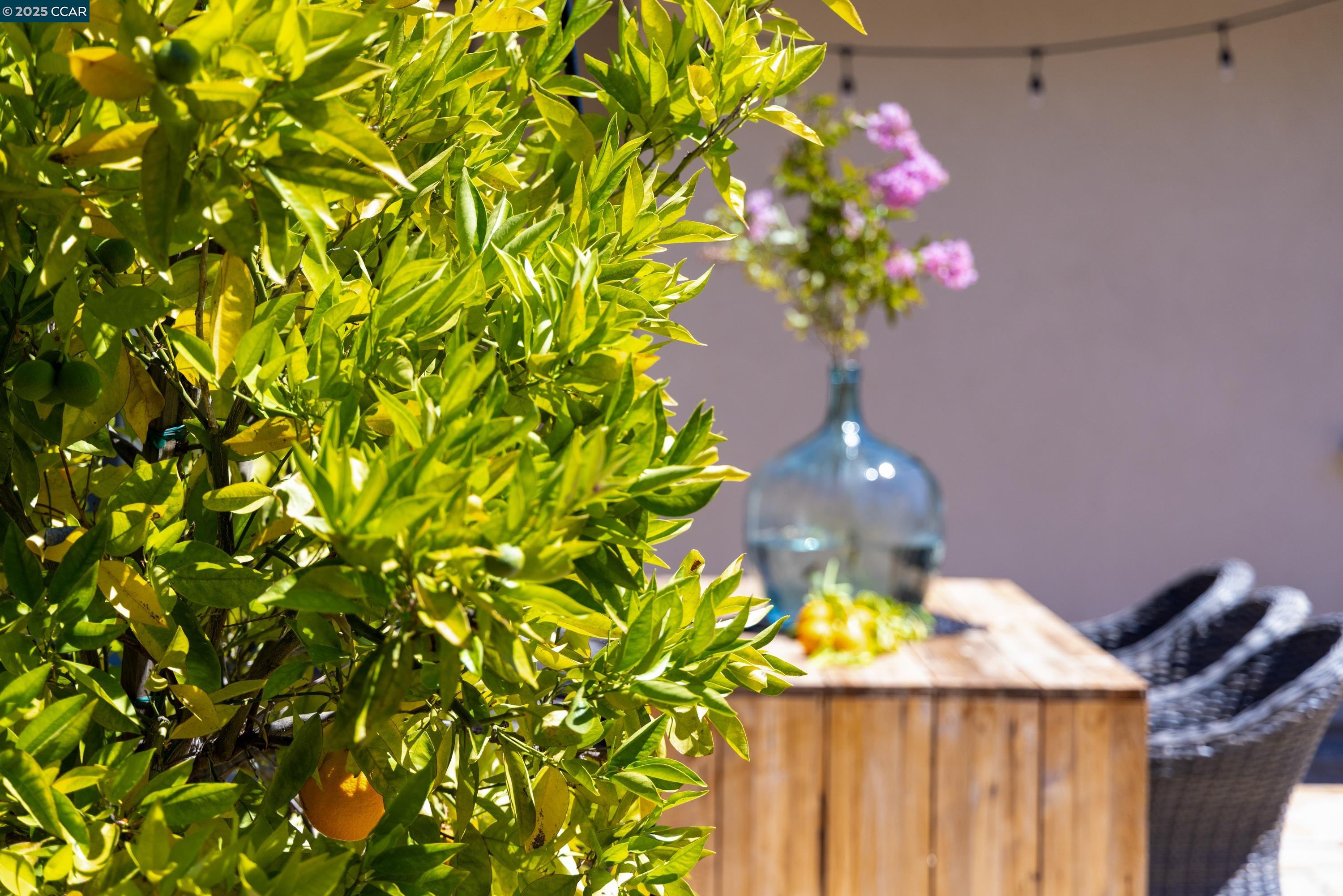 Detail Gallery Image 44 of 53 For 3 Barnes Ct, Moraga,  CA 94556 - 5 Beds | 4/1 Baths