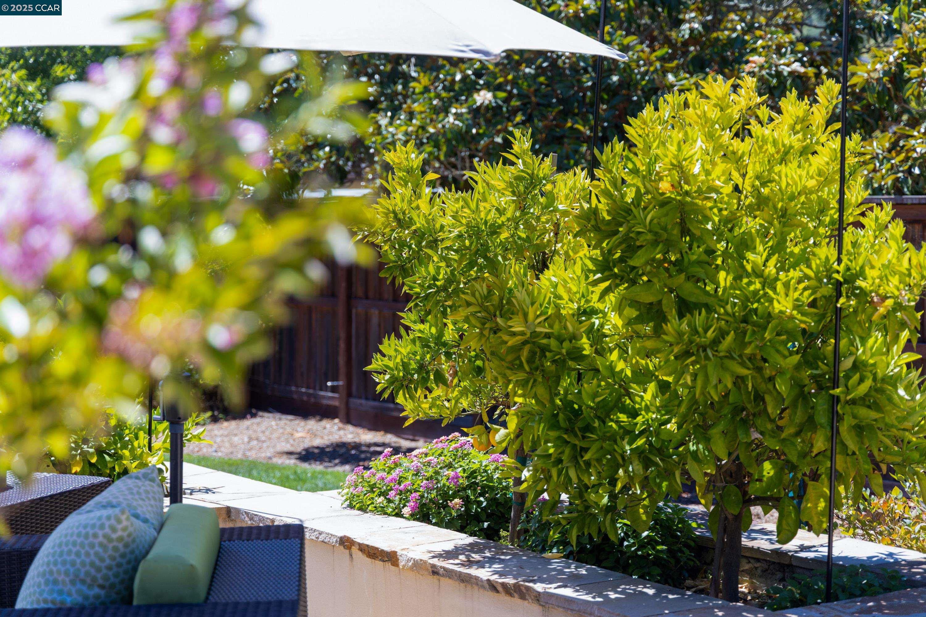 Detail Gallery Image 49 of 53 For 3 Barnes Ct, Moraga,  CA 94556 - 5 Beds | 4/1 Baths