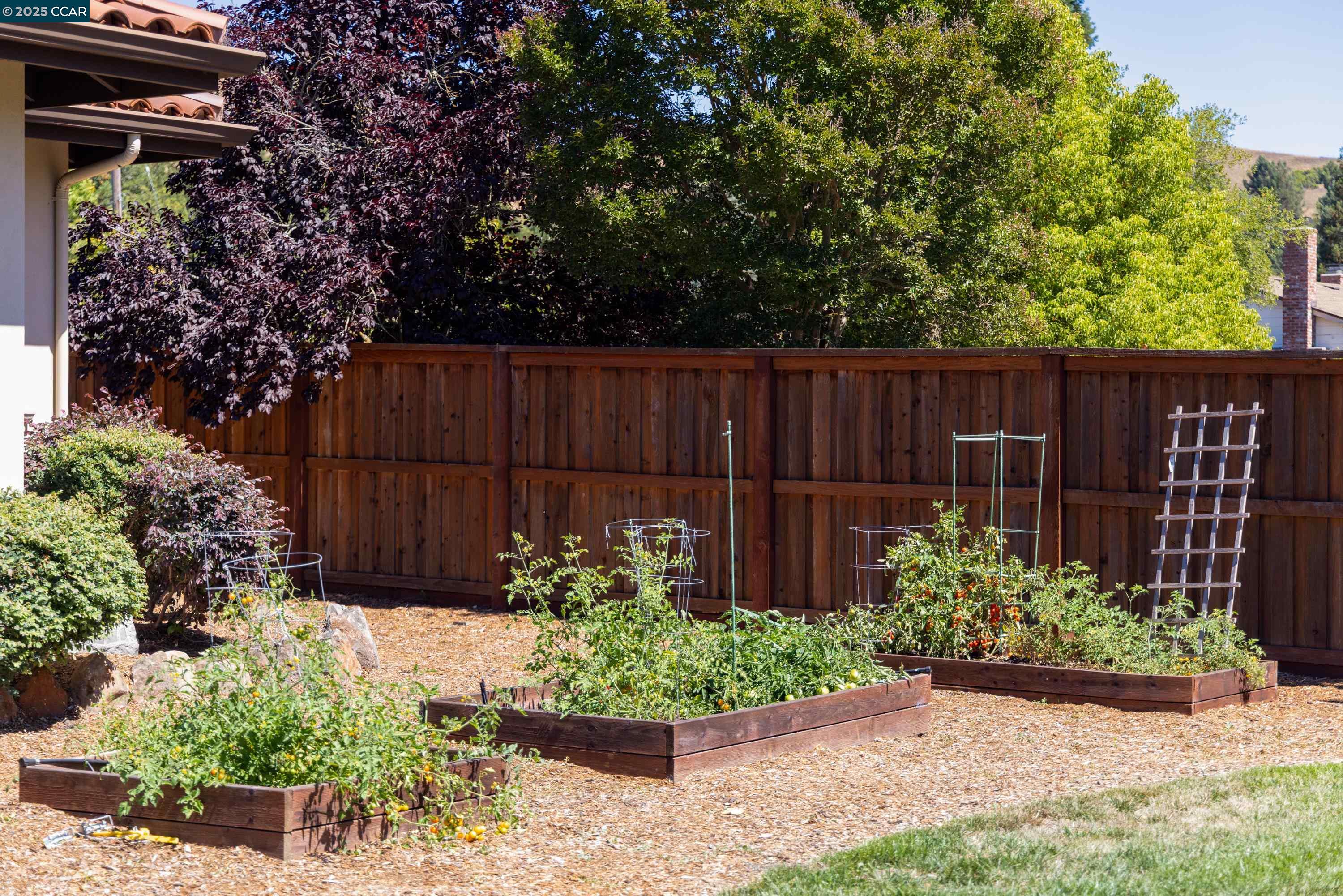 Detail Gallery Image 50 of 53 For 3 Barnes Ct, Moraga,  CA 94556 - 5 Beds | 4/1 Baths