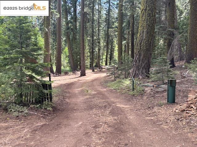 Detail Gallery Image 31 of 31 For Cabin3 Mill Creek Campground, Pinecrest,  CA 95364 - 1 Beds | 1/1 Baths