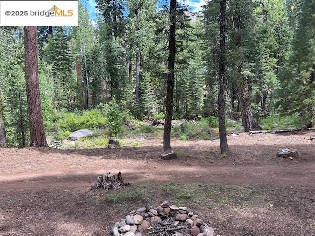 Detail Gallery Image 6 of 31 For Cabin3 Mill Creek Campground, Pinecrest,  CA 95364 - 1 Beds | 1/1 Baths