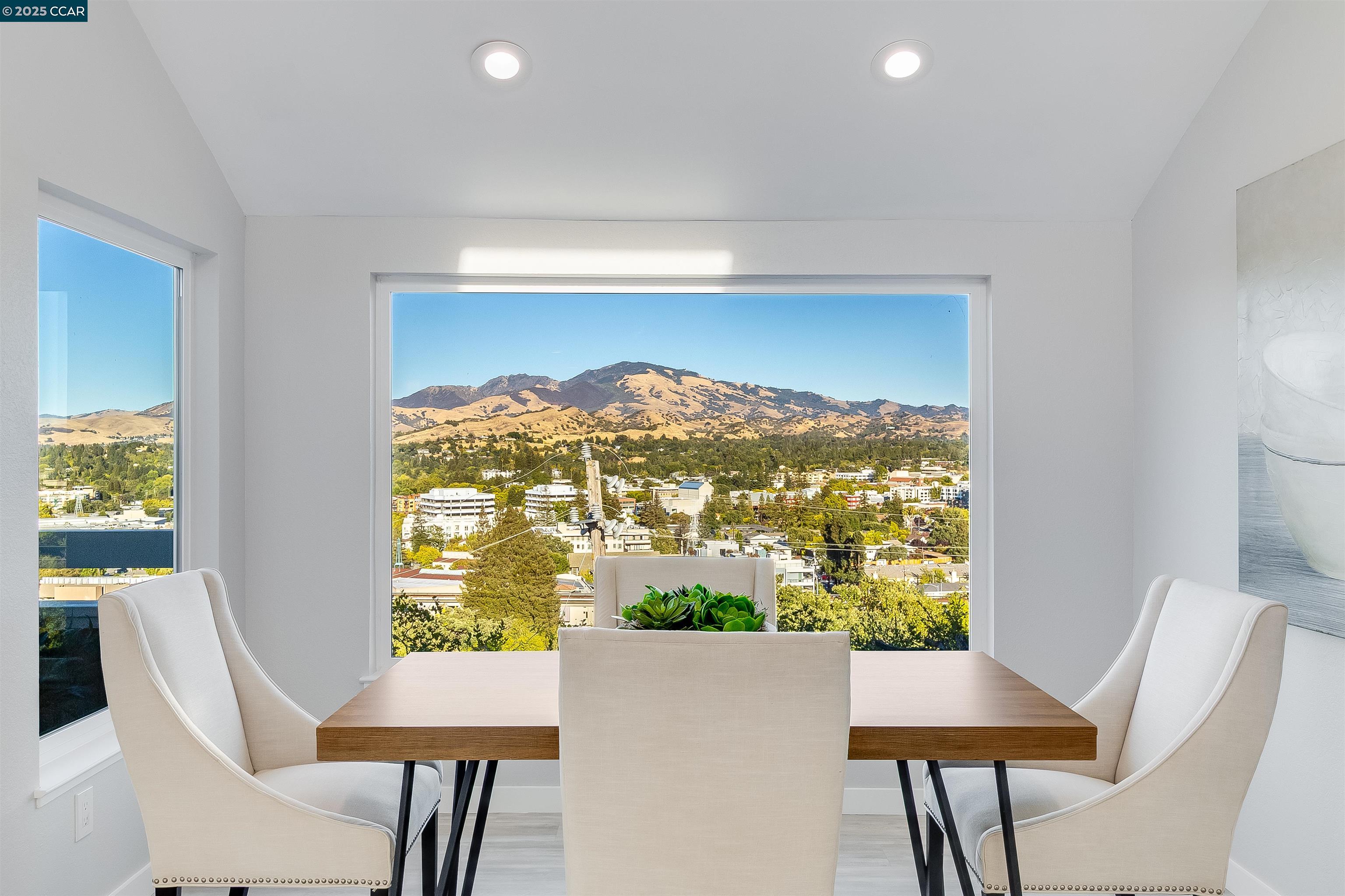 Detail Gallery Image 17 of 60 For 1648 Terrace Way, Walnut Creek,  CA 94597 - 3 Beds | 2 Baths