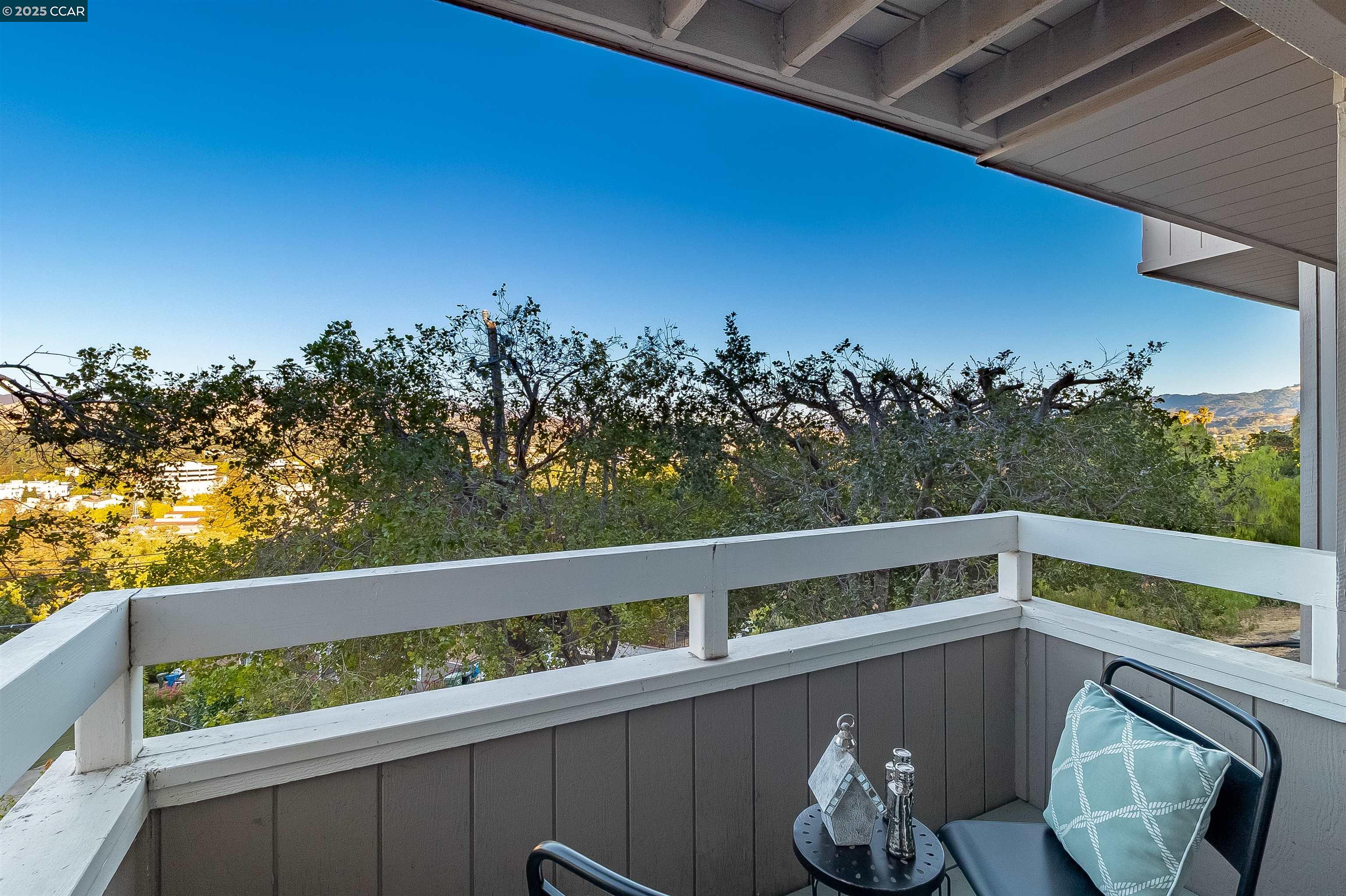 Detail Gallery Image 47 of 60 For 1648 Terrace Way, Walnut Creek,  CA 94597 - 3 Beds | 2 Baths