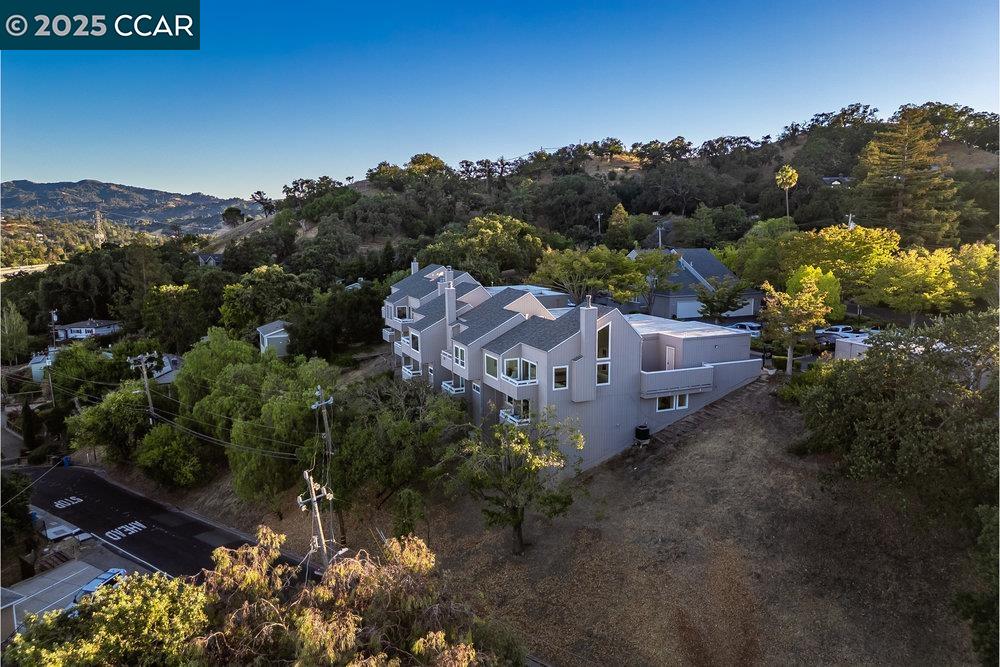 Detail Gallery Image 53 of 60 For 1648 Terrace Way, Walnut Creek,  CA 94597 - 3 Beds | 2 Baths
