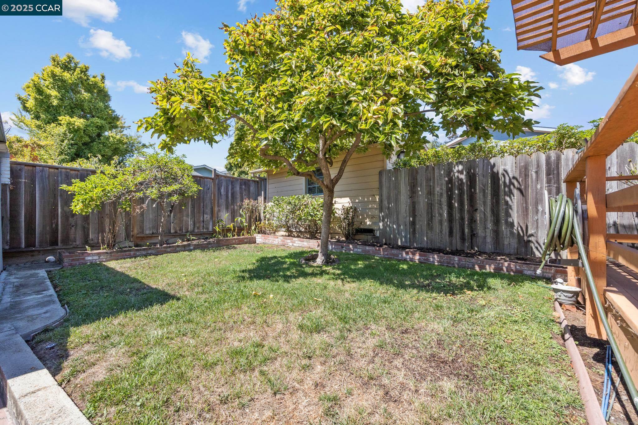 Detail Gallery Image 41 of 60 For 960 Ordway Street, Albany,  CA 94706 - 4 Beds | 2 Baths