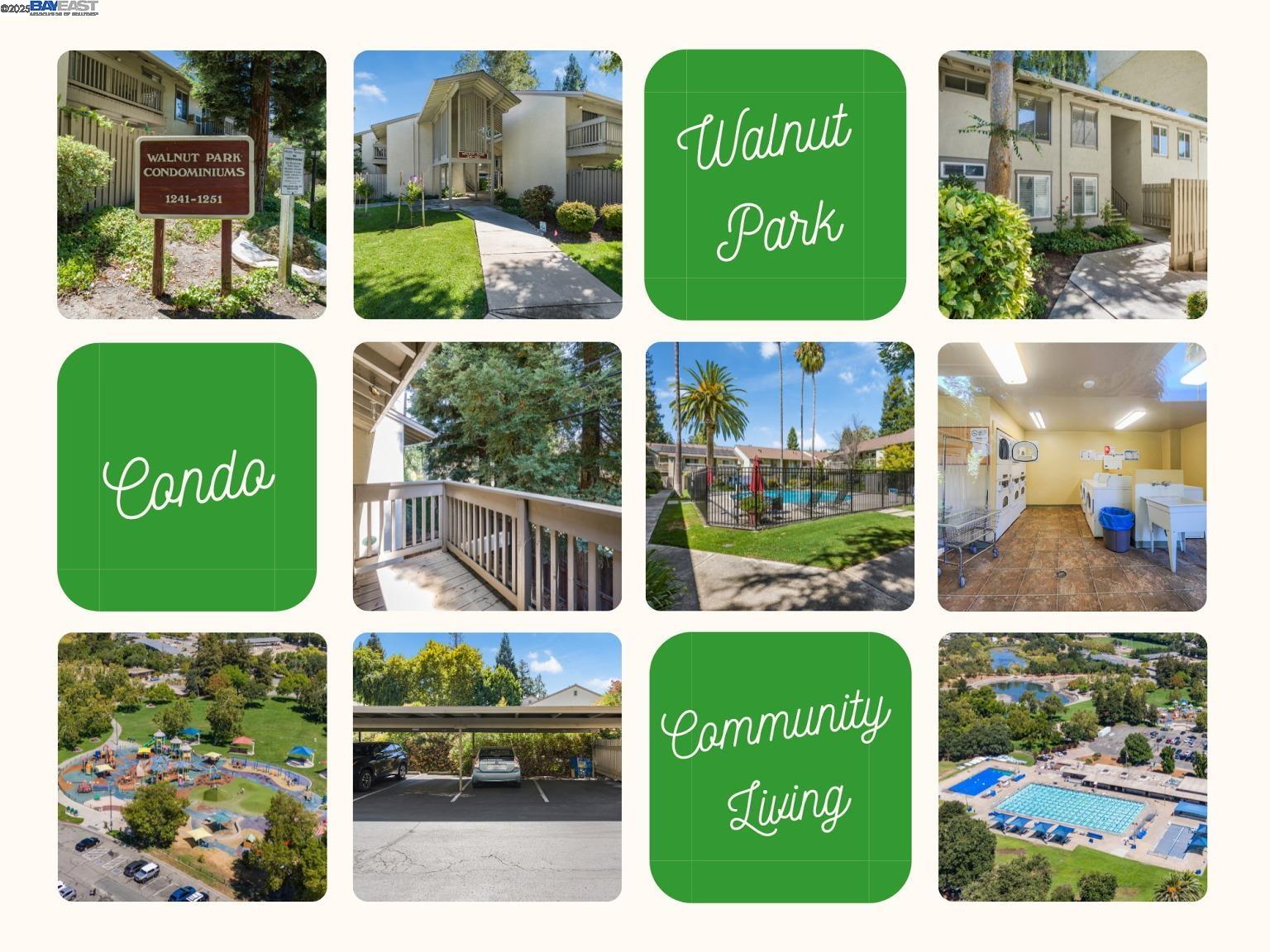 Detail Gallery Image 3 of 60 For 1241 Homestead Ave #206,  Walnut Creek,  CA 94598 - 1 Beds | 1 Baths