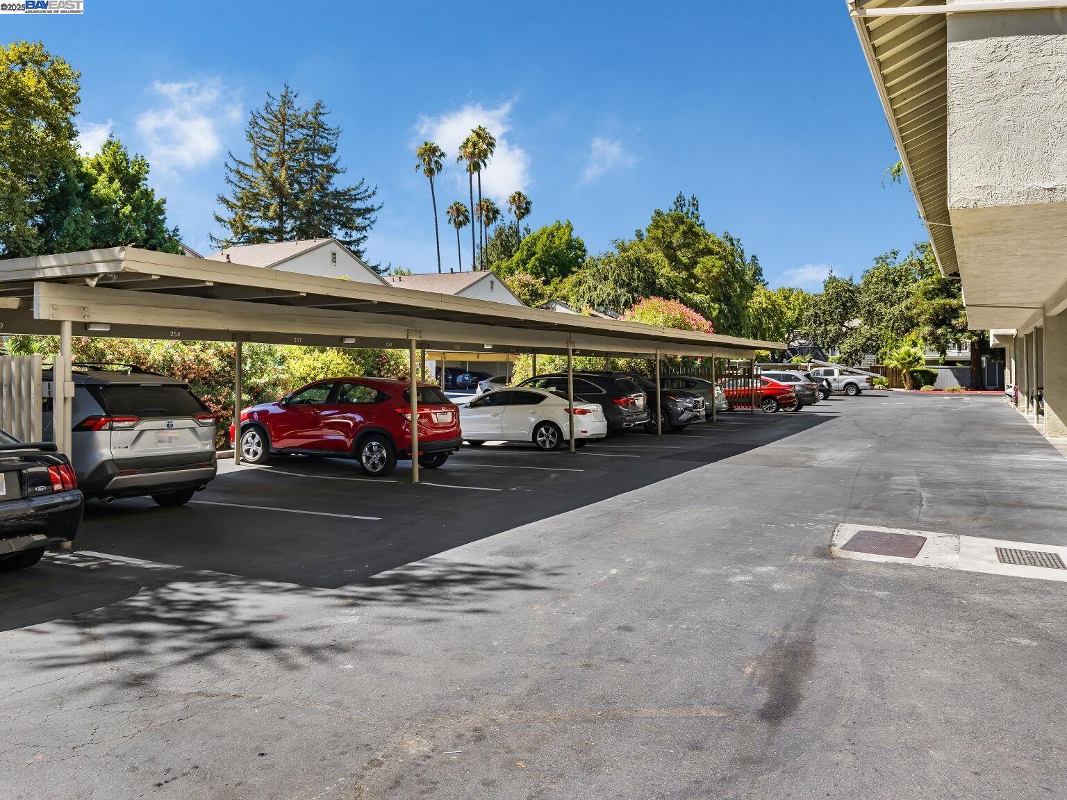 Detail Gallery Image 35 of 60 For 1241 Homestead Ave #206,  Walnut Creek,  CA 94598 - 1 Beds | 1 Baths