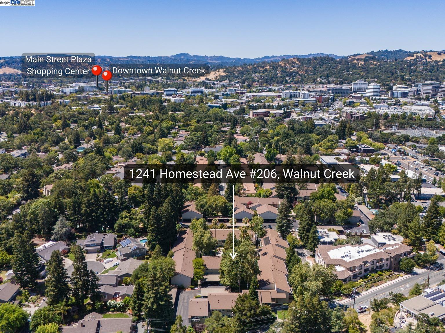 Detail Gallery Image 5 of 60 For 1241 Homestead Ave #206,  Walnut Creek,  CA 94598 - 1 Beds | 1 Baths