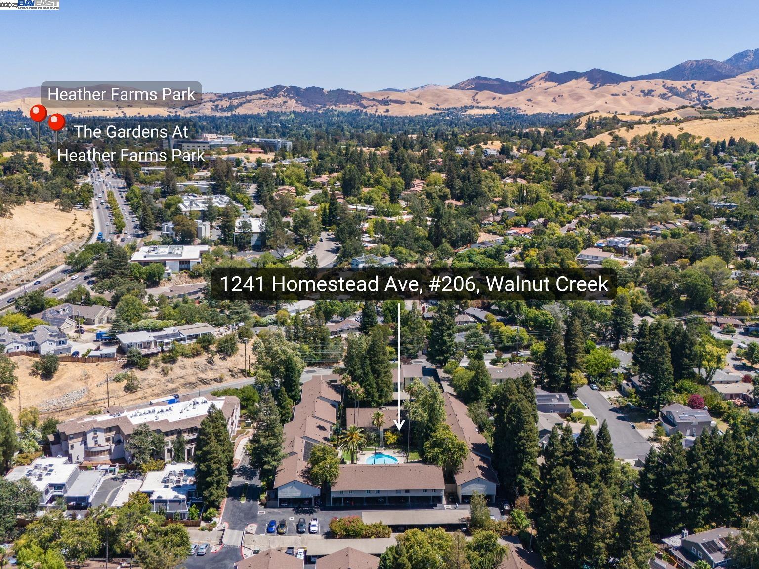 Detail Gallery Image 6 of 60 For 1241 Homestead Ave #206,  Walnut Creek,  CA 94598 - 1 Beds | 1 Baths