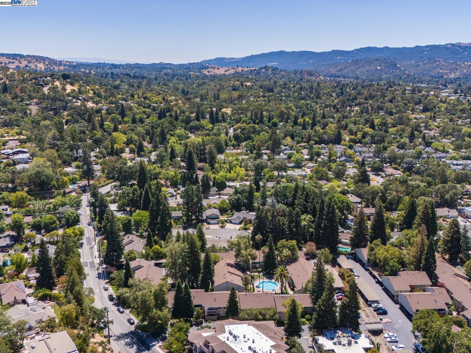 Detail Gallery Image 56 of 60 For 1241 Homestead Ave #206,  Walnut Creek,  CA 94598 - 1 Beds | 1 Baths