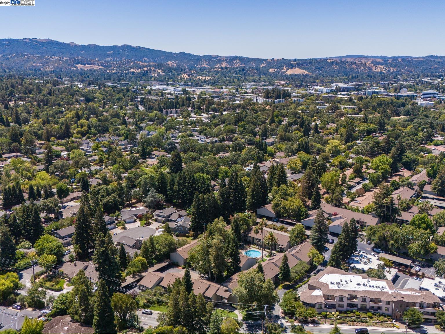 Detail Gallery Image 58 of 60 For 1241 Homestead Ave #206,  Walnut Creek,  CA 94598 - 1 Beds | 1 Baths