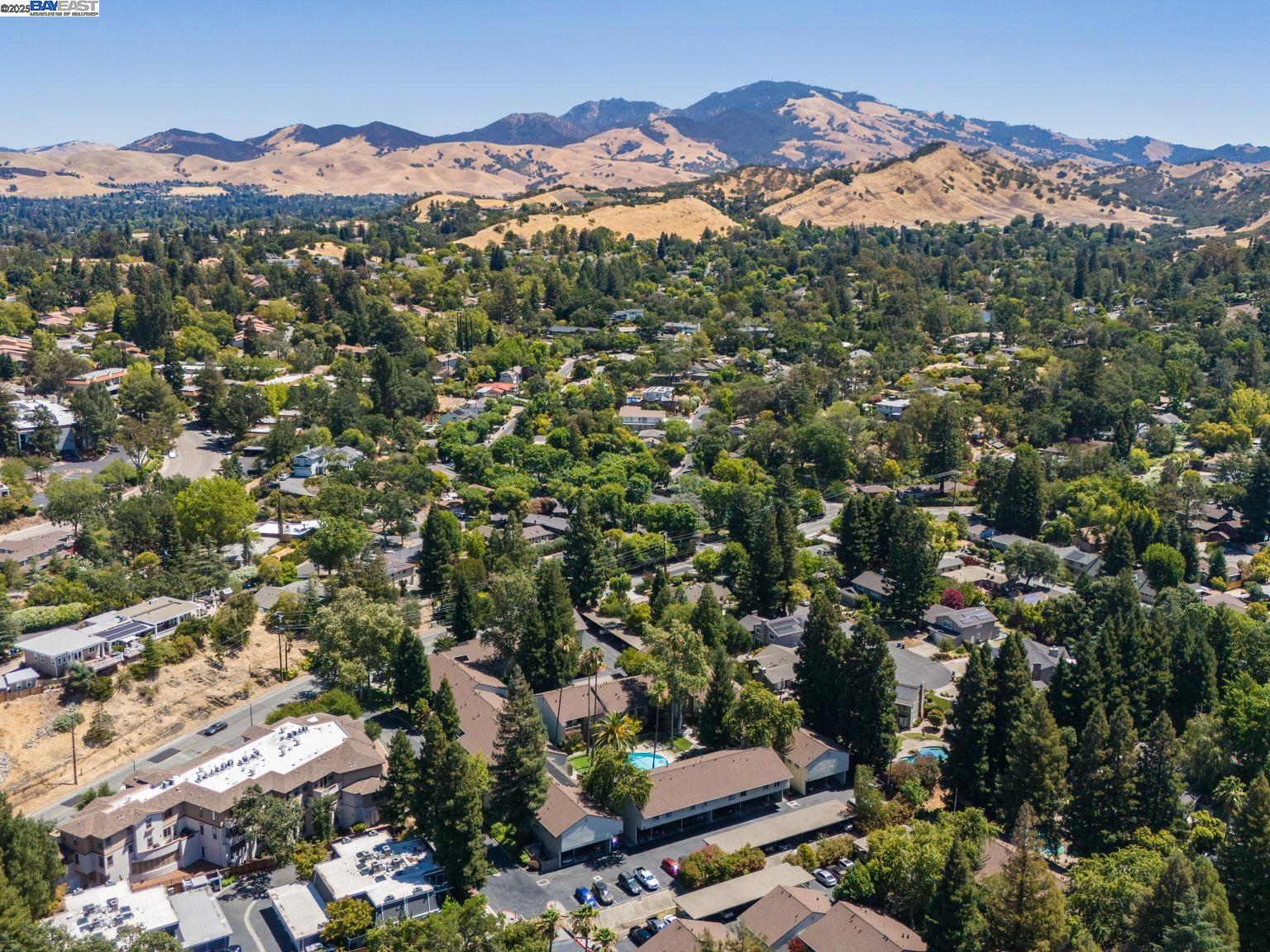 Detail Gallery Image 59 of 60 For 1241 Homestead Ave #206,  Walnut Creek,  CA 94598 - 1 Beds | 1 Baths