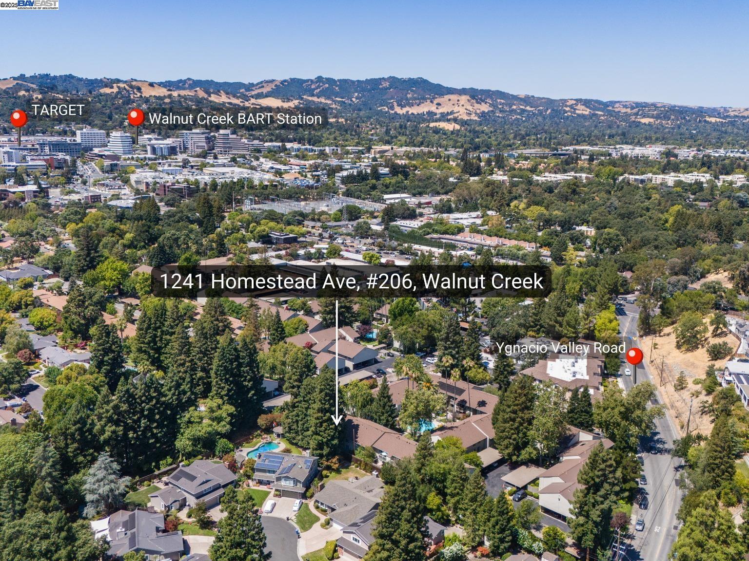 Detail Gallery Image 7 of 60 For 1241 Homestead Ave #206,  Walnut Creek,  CA 94598 - 1 Beds | 1 Baths