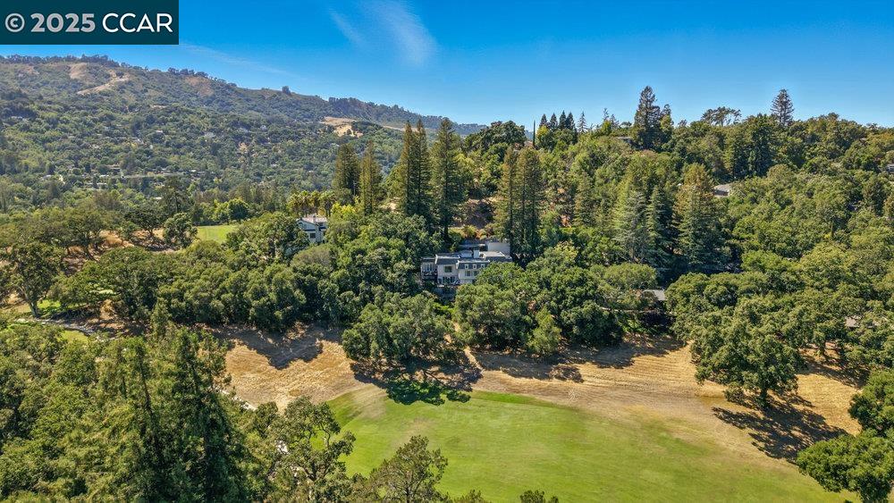 Detail Gallery Image 4 of 60 For 164 Camino Don Miguel, Orinda,  CA 94563 - 4 Beds | 3/1 Baths