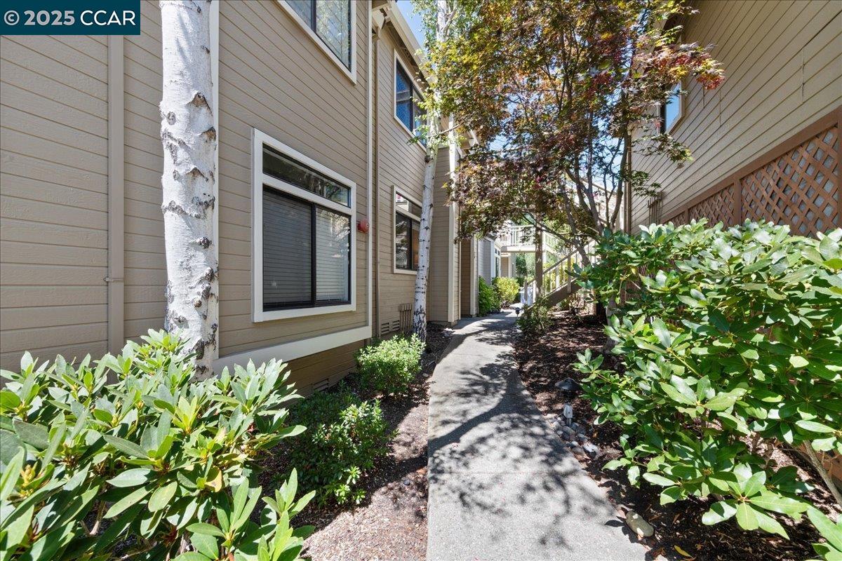 Detail Gallery Image 56 of 60 For 5501 Terra Granada Dr 2a,  Walnut Creek,  CA 94595 - 2 Beds | 2 Baths