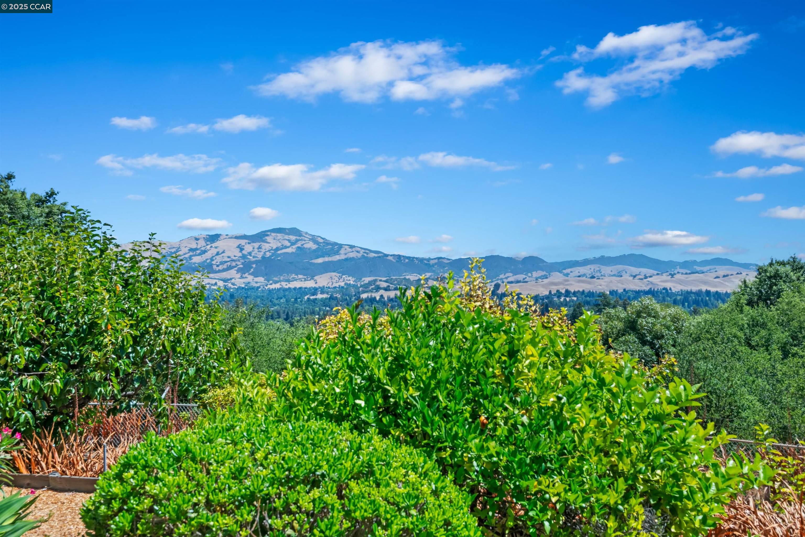 Detail Gallery Image 16 of 55 For 7 Sky Terrace, Danville,  CA 94526 - 5 Beds | 5 Baths